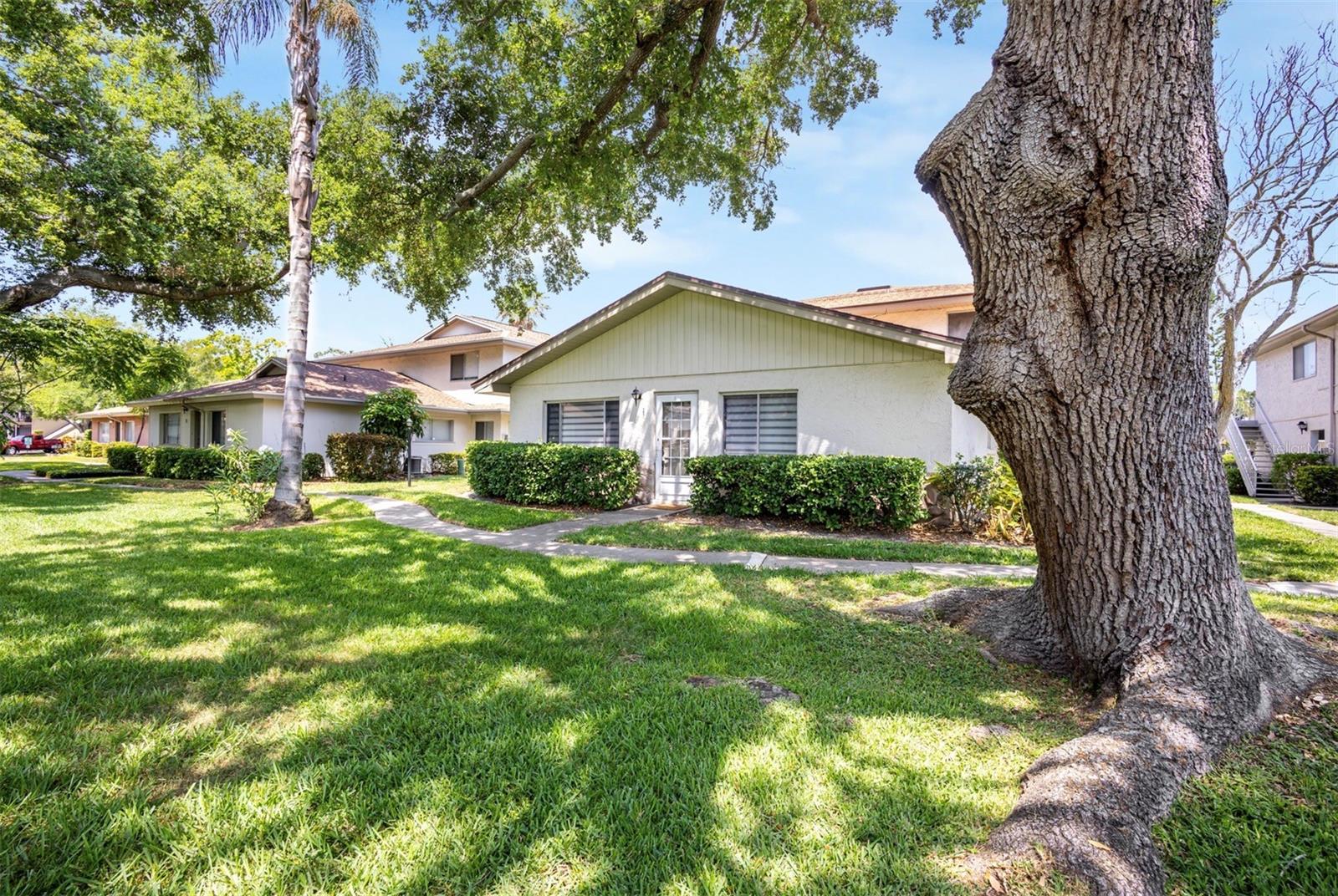 1831 BOUGH AVE #1, CLEARWATER, FL — photo 2