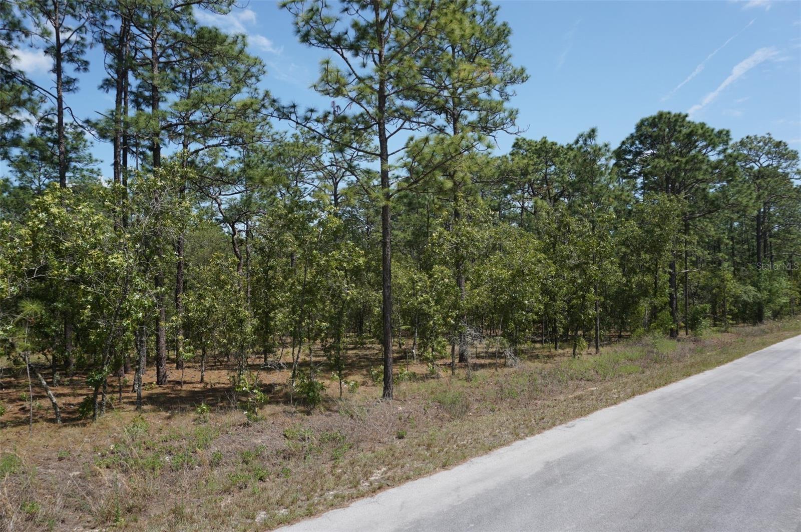 TBD NW TREE TOP RD, DUNNELLON, FL