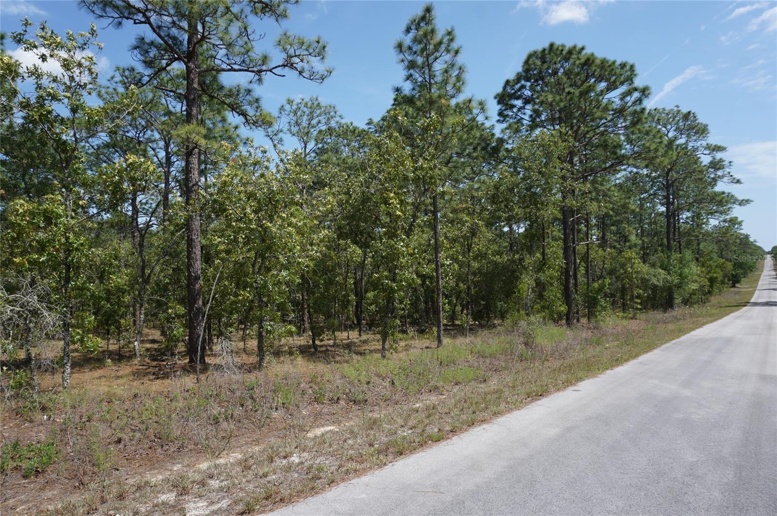 TBD NW TREE TOP RD, DUNNELLON, FL — photo 2