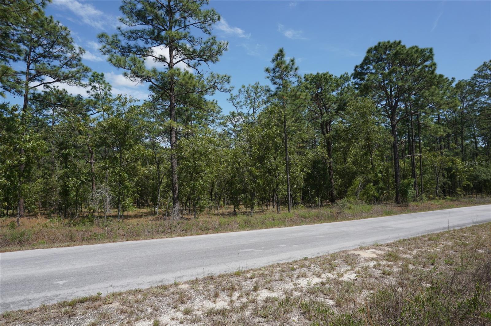 TBD NW TREE TOP RD, DUNNELLON, FL — photo 3