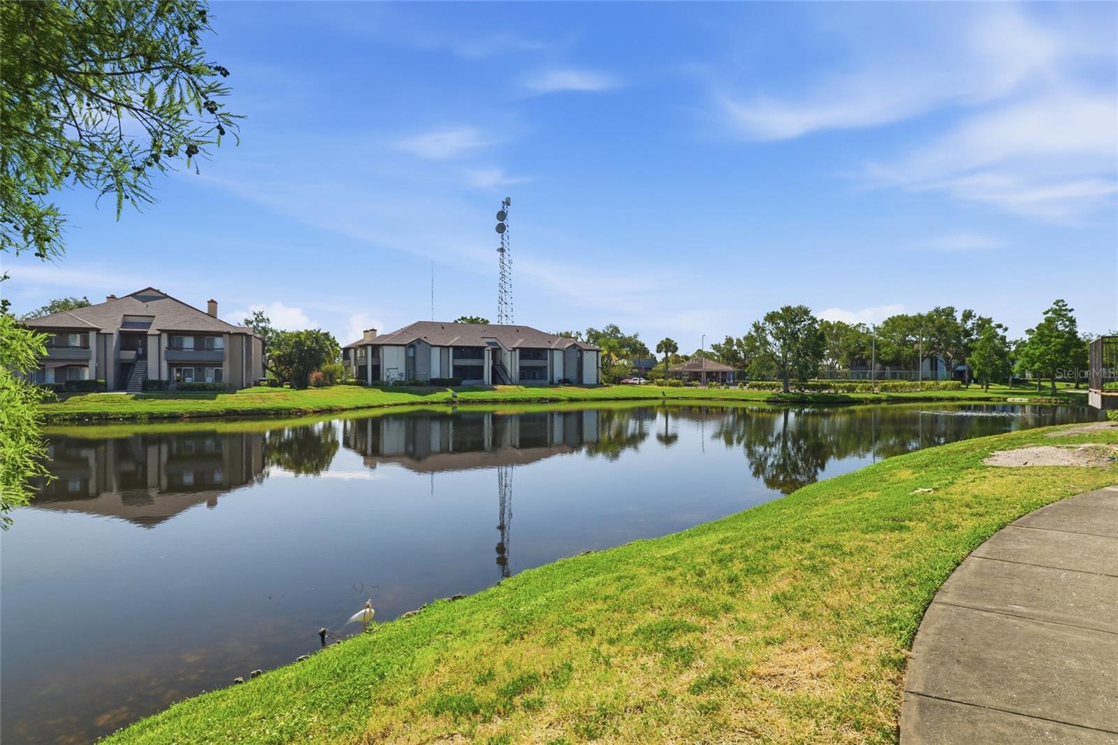 10265 GANDY BLVD N #1806, ST PETERSBURG, FL — photo 23