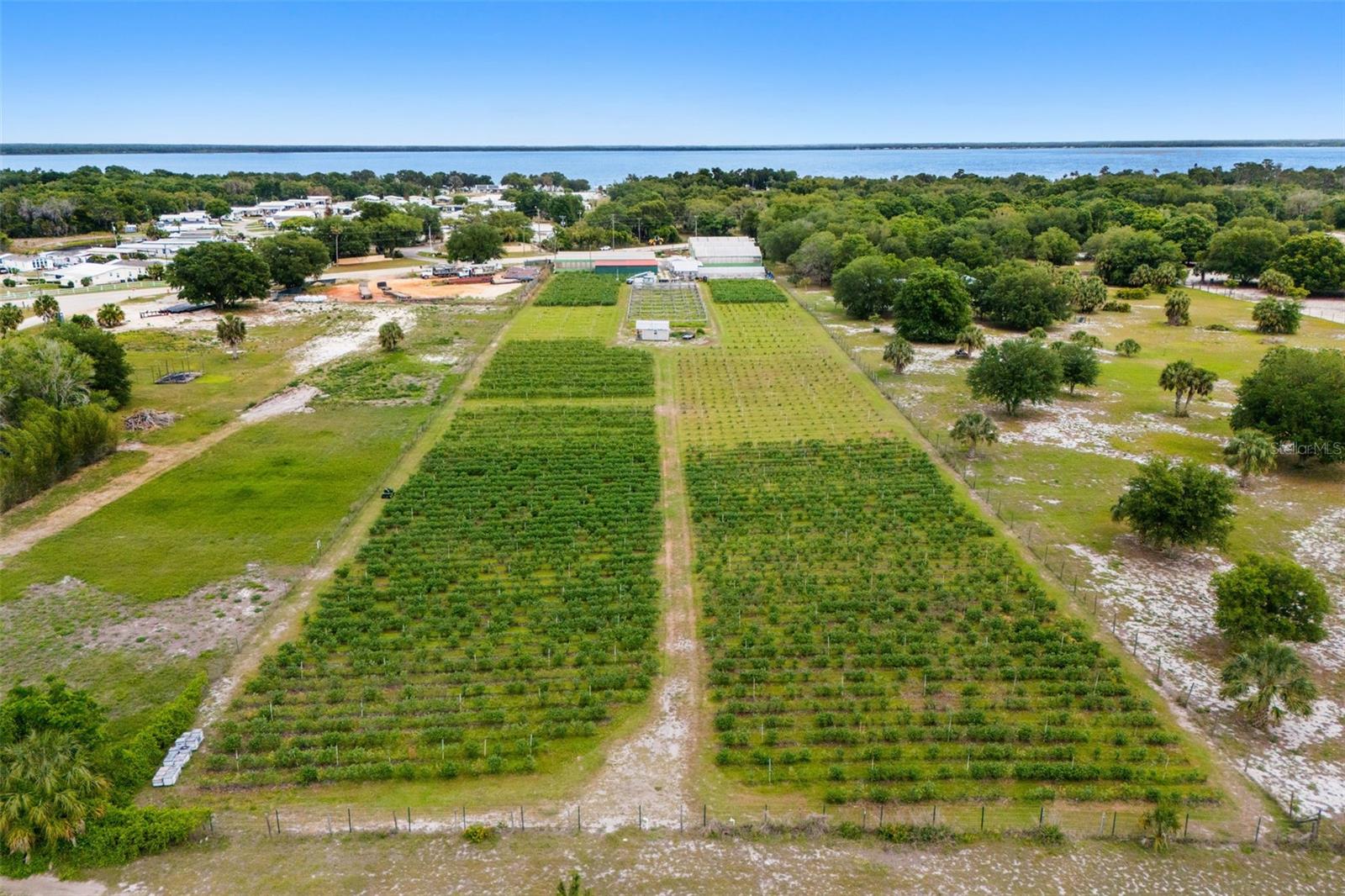 3510 WALK IN WATER RD, LAKE WALES, FL — photo 8