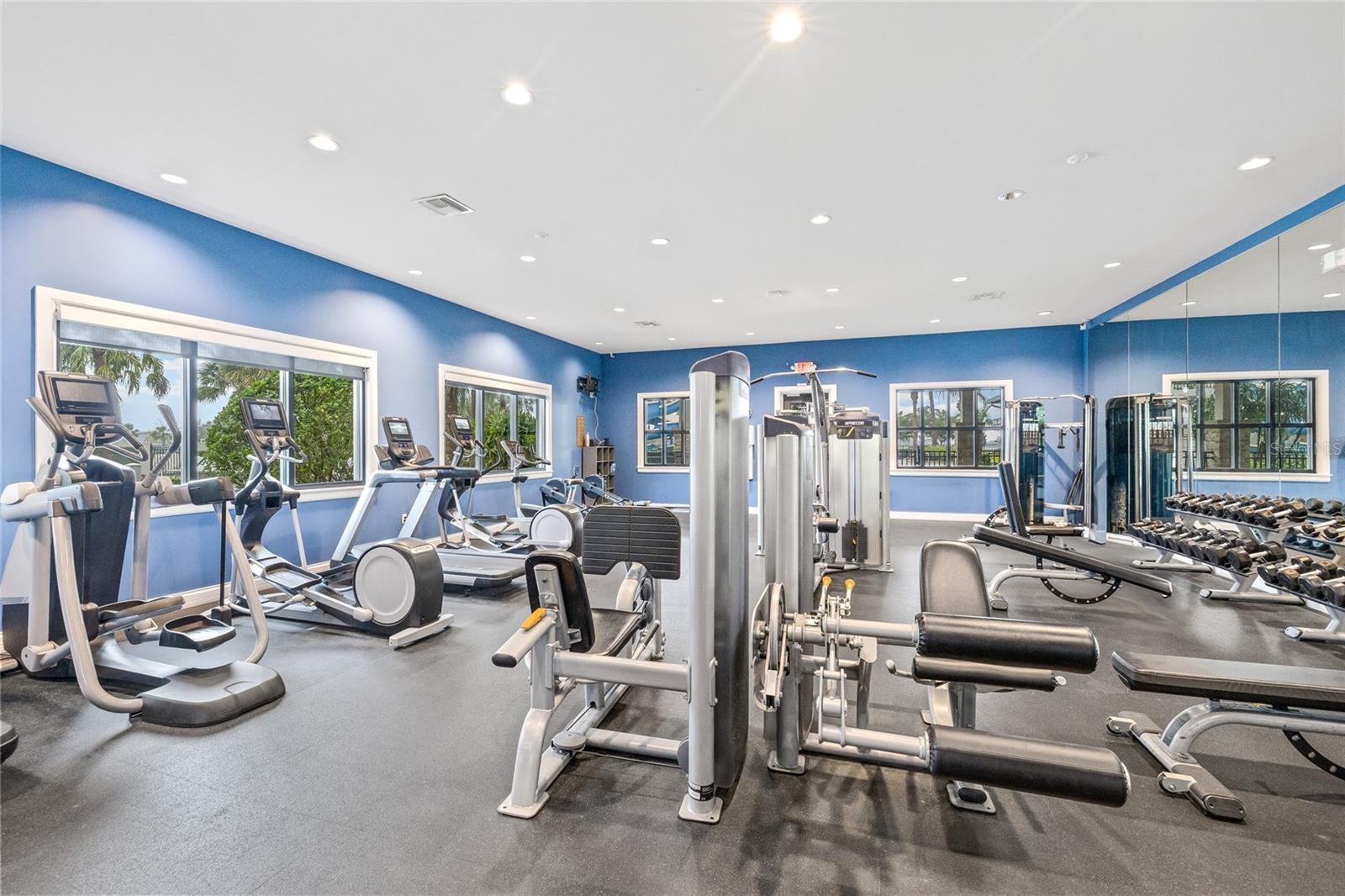 6318 SPRINGLINE PL, APOLLO BEACH, FL — photo 42
