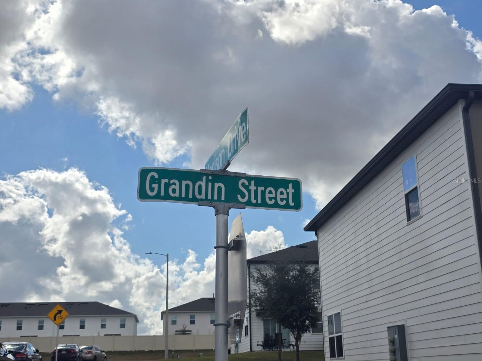 936 GRANDIN ST, DAVENPORT, FL — photo 19