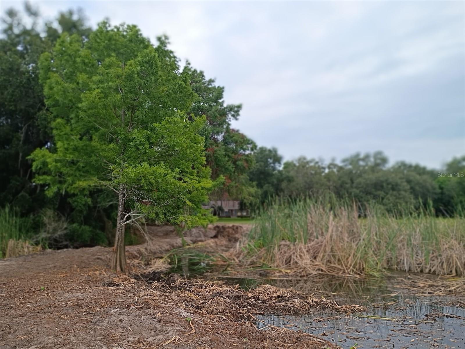 13450 SE 105TH TER, OCKLAWAHA, FL — photo 72