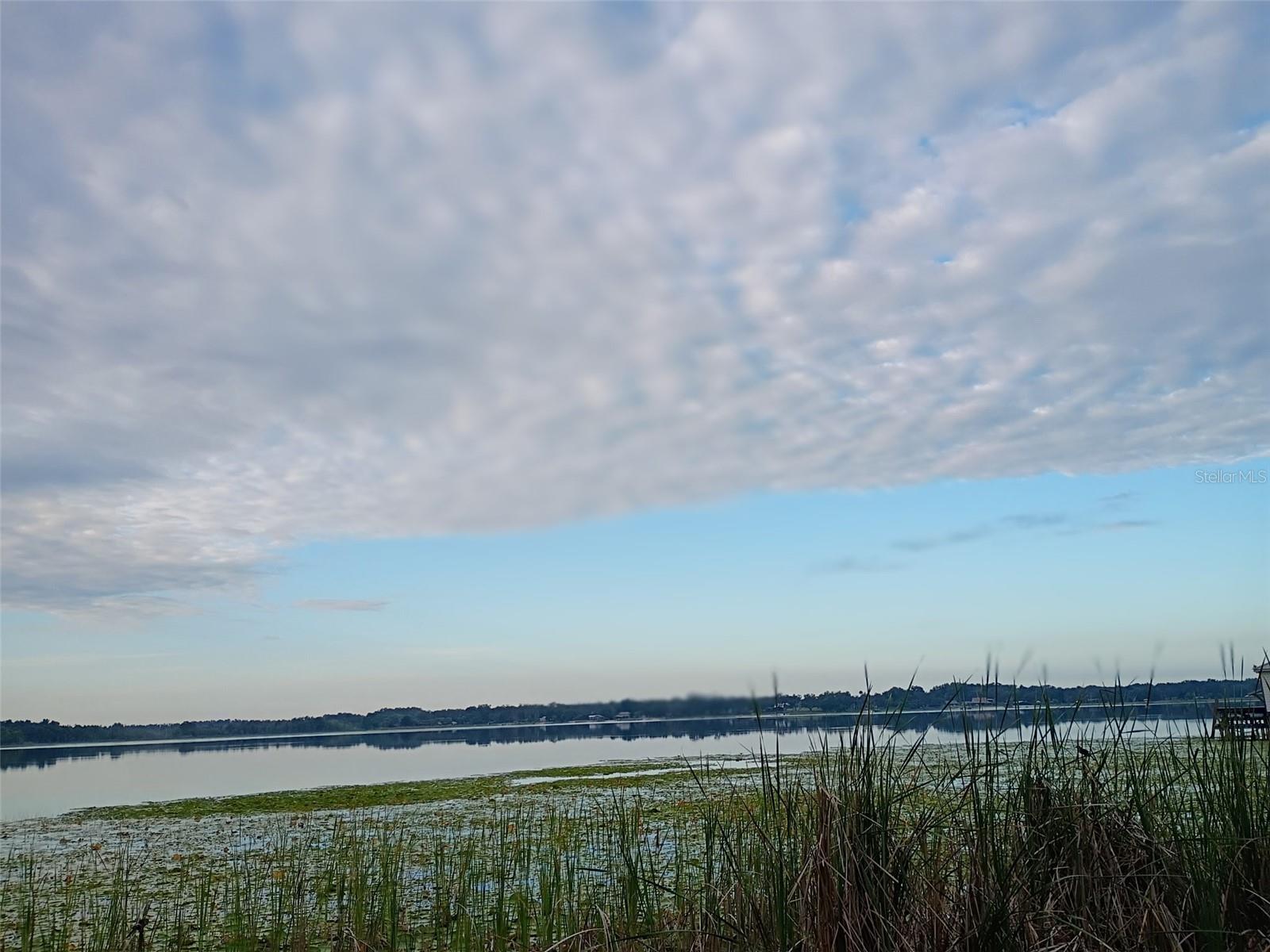 13450 SE 105TH TER, OCKLAWAHA, FL — photo 73