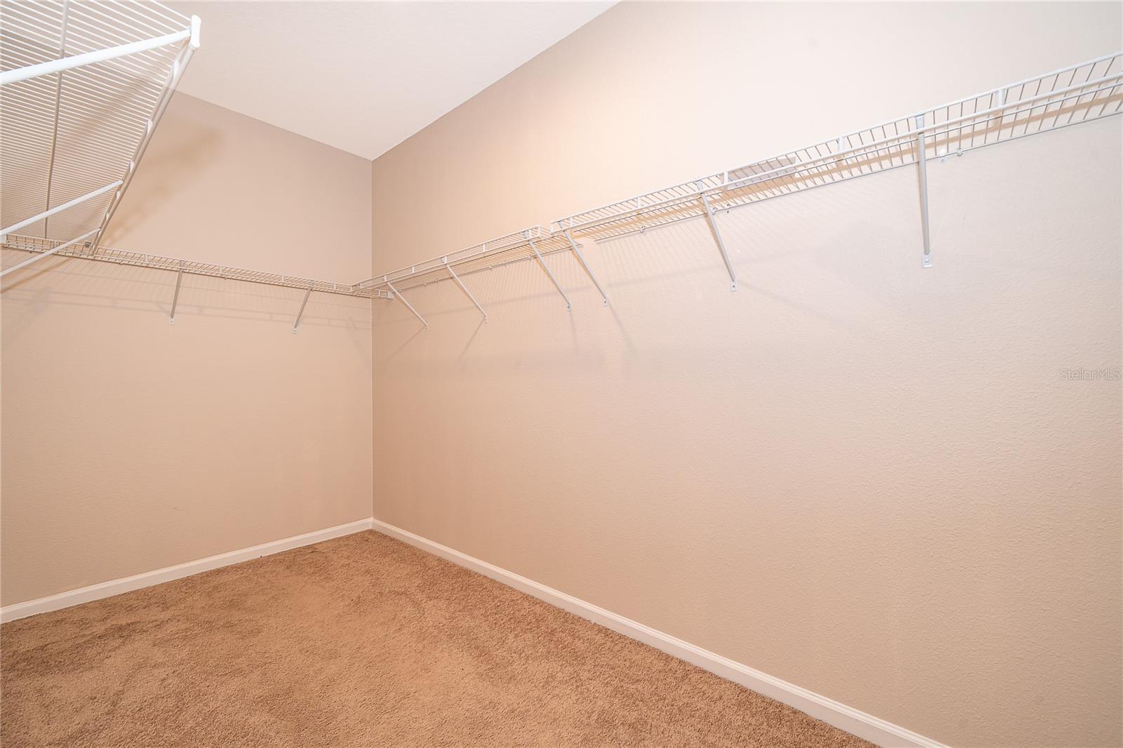 15824 SURFBIRD CT, MASCOTTE, FL — photo 34