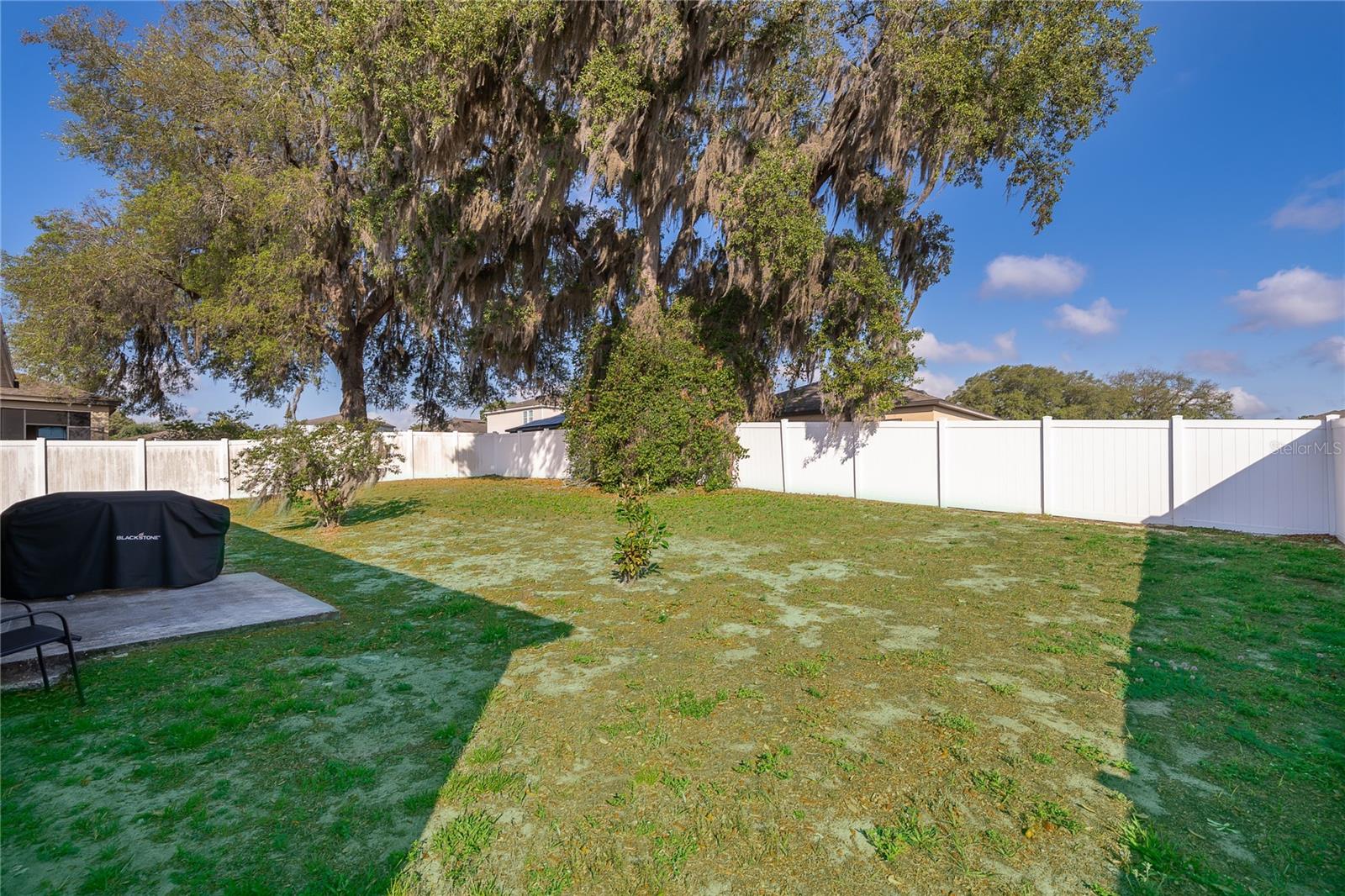 15824 SURFBIRD CT, MASCOTTE, FL — photo 44