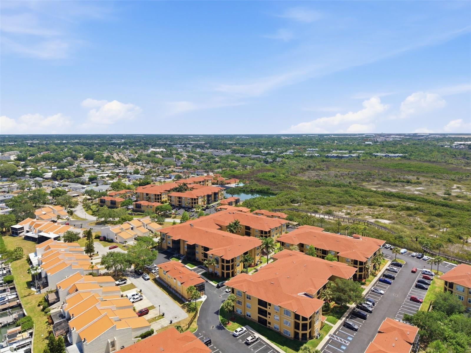 4323 BAYSIDE VILLAGE DR #312, TAMPA, FL — photo 59