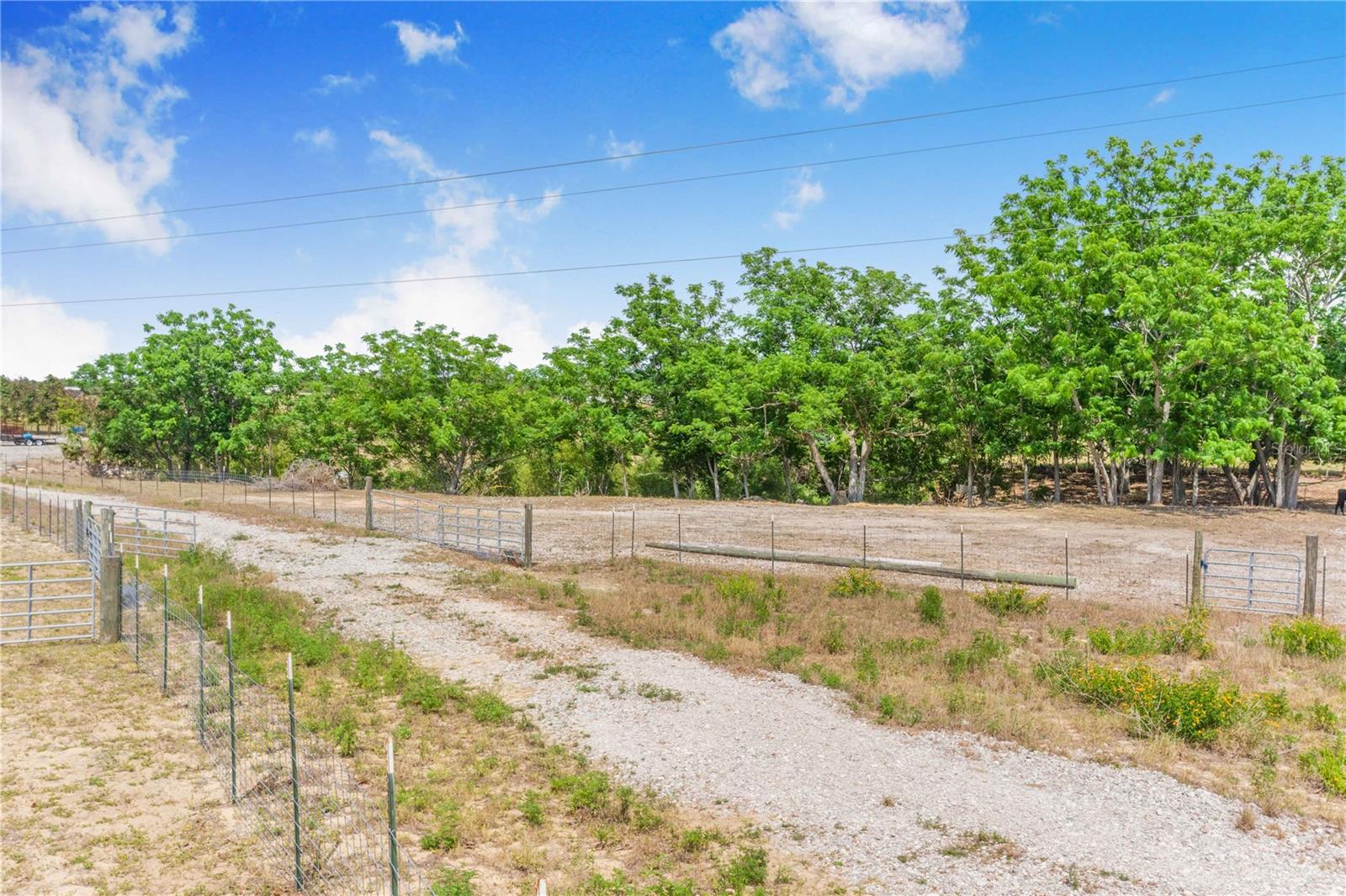 LAKE HATCHINEHA RD, HAINES CITY, FL — photo 4