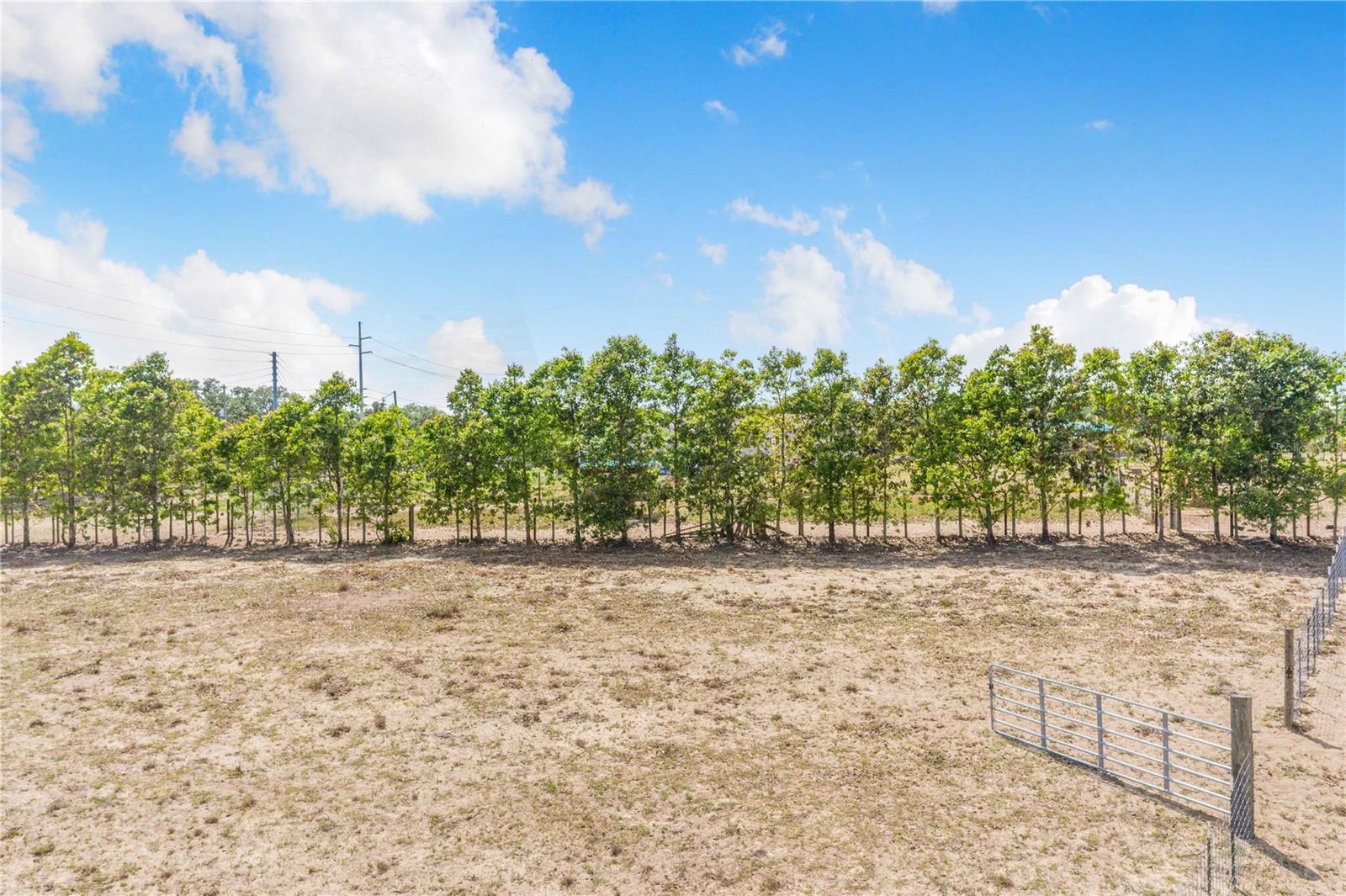 LAKE HATCHINEHA RD, HAINES CITY, FL — photo 6