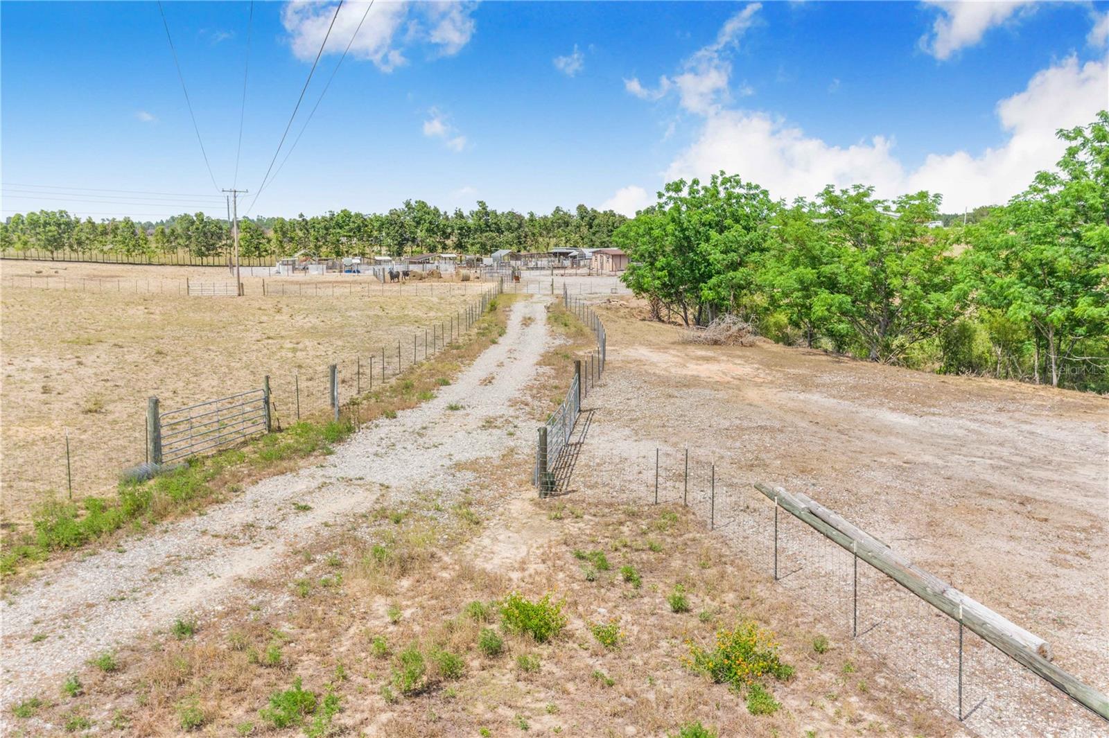 LAKE HATCHINEHA RD, HAINES CITY, FL — photo 7