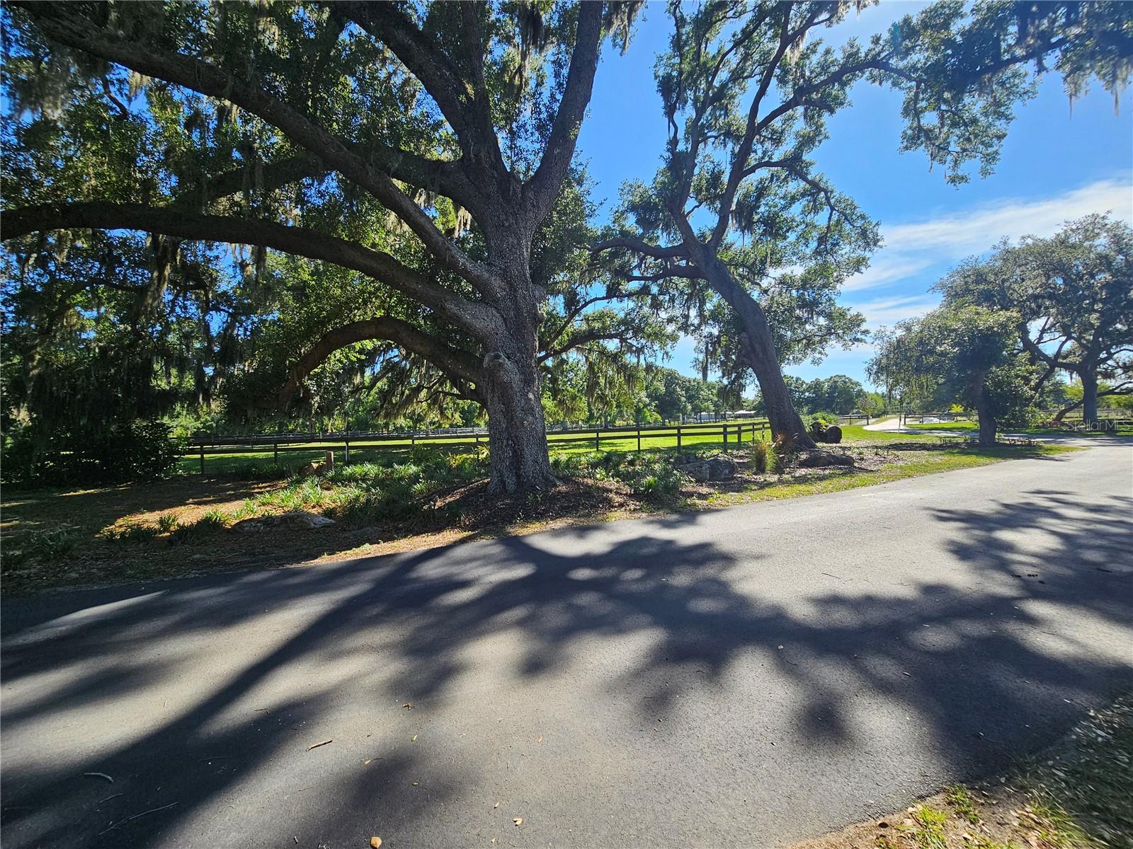5925 SPENCER PARRISH RD, PARRISH, FL — photo 16