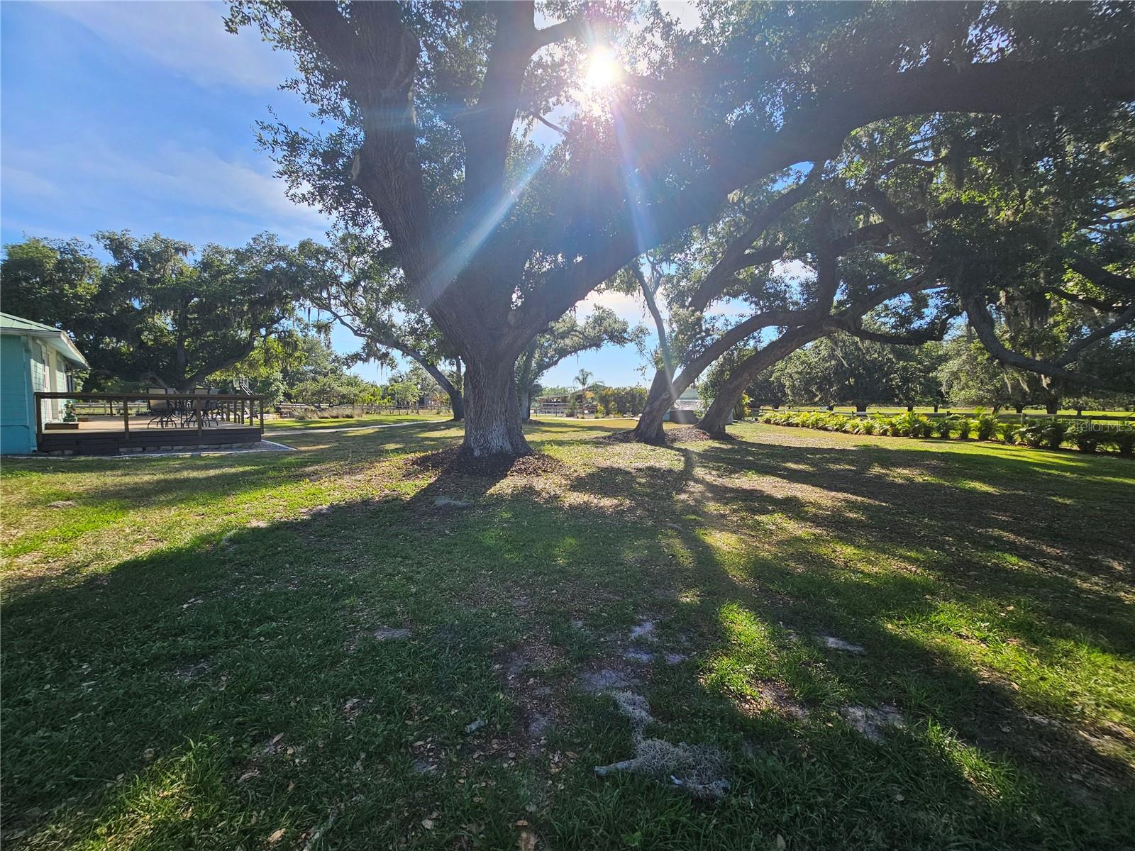 5925 SPENCER PARRISH RD, PARRISH, FL — photo 17