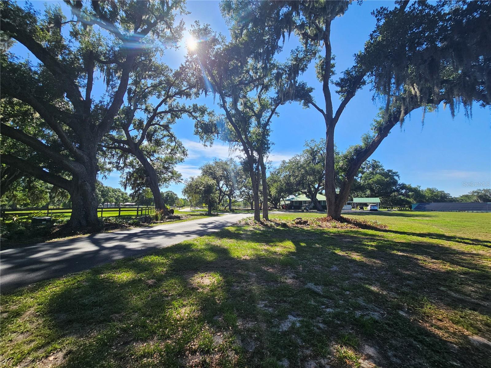 5925 SPENCER PARRISH RD, PARRISH, FL — photo 25