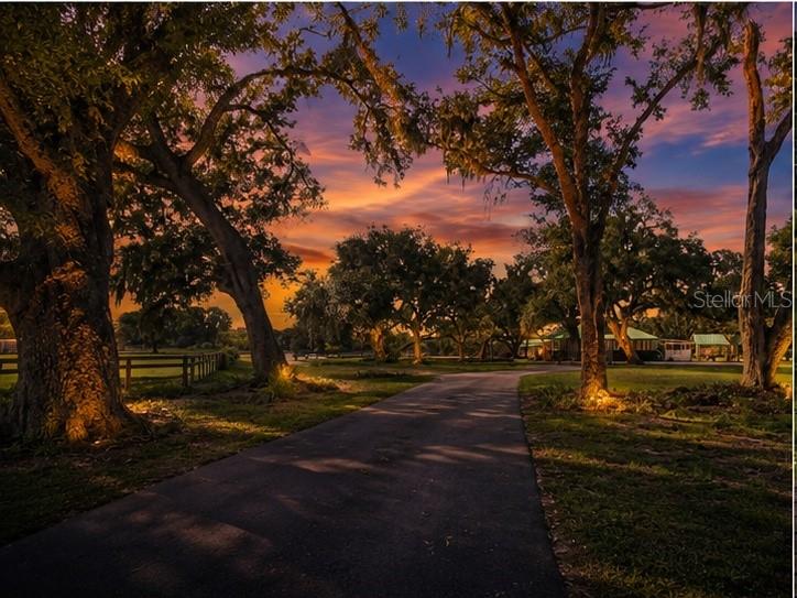 5925 SPENCER PARRISH RD, PARRISH, FL — photo 2
