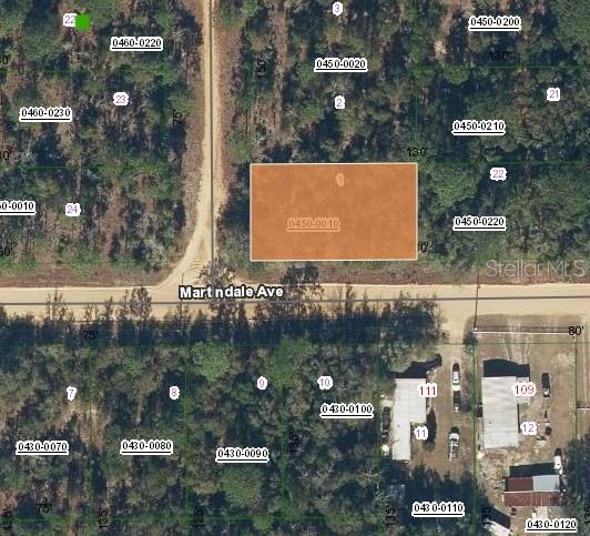 LOT 1 MARTINEDALE AVE, INTERLACHEN, FL