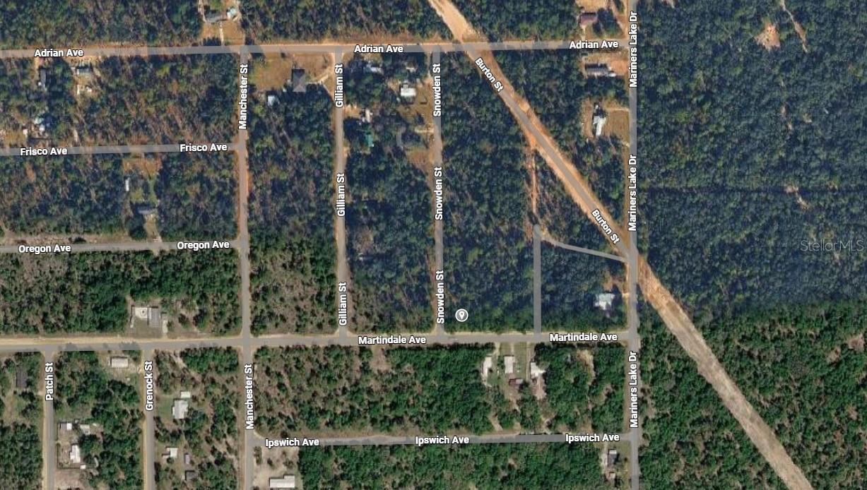 LOT 1 MARTINEDALE AVE, INTERLACHEN, FL — photo 3