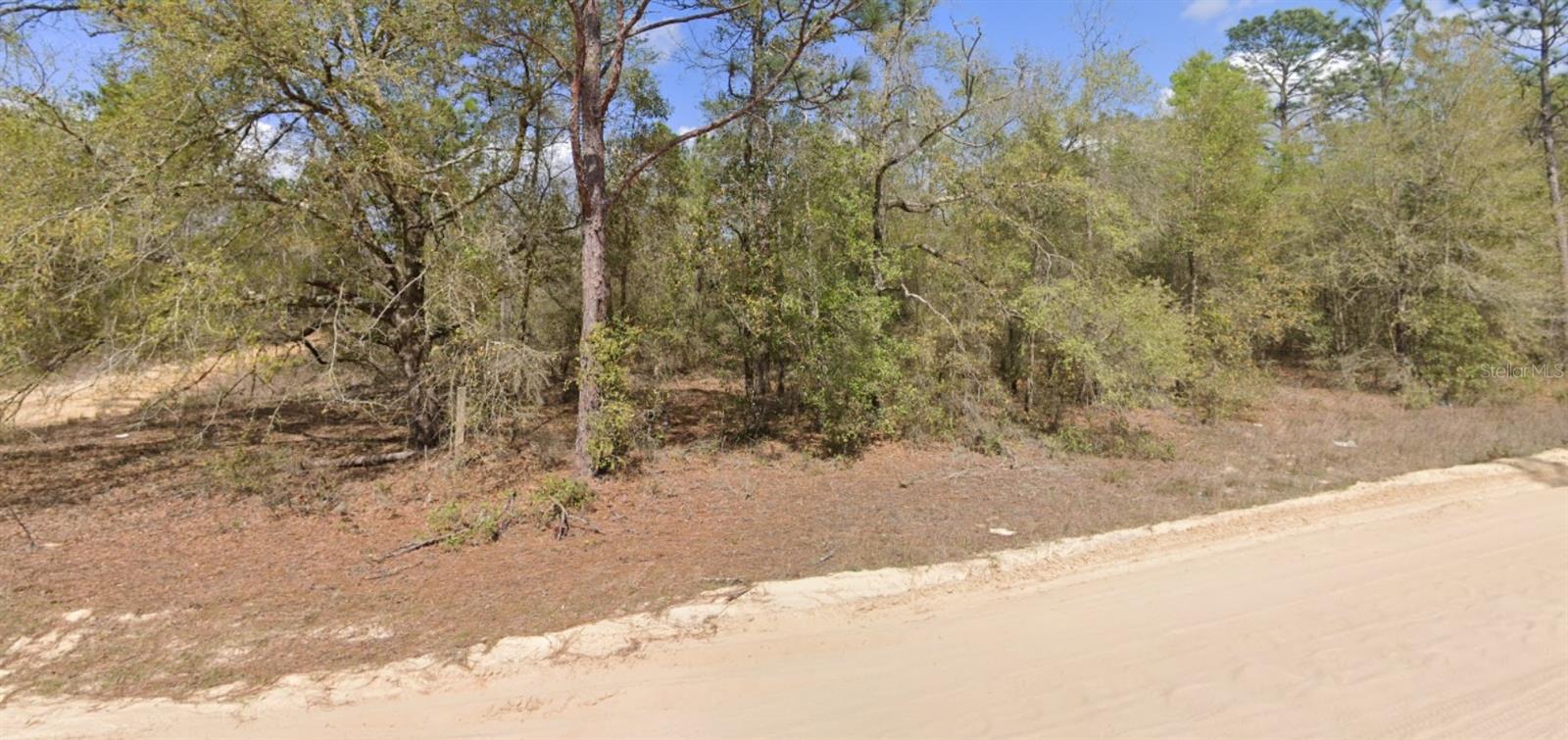 LOT 1 MARTINEDALE AVE, INTERLACHEN, FL — photo 5