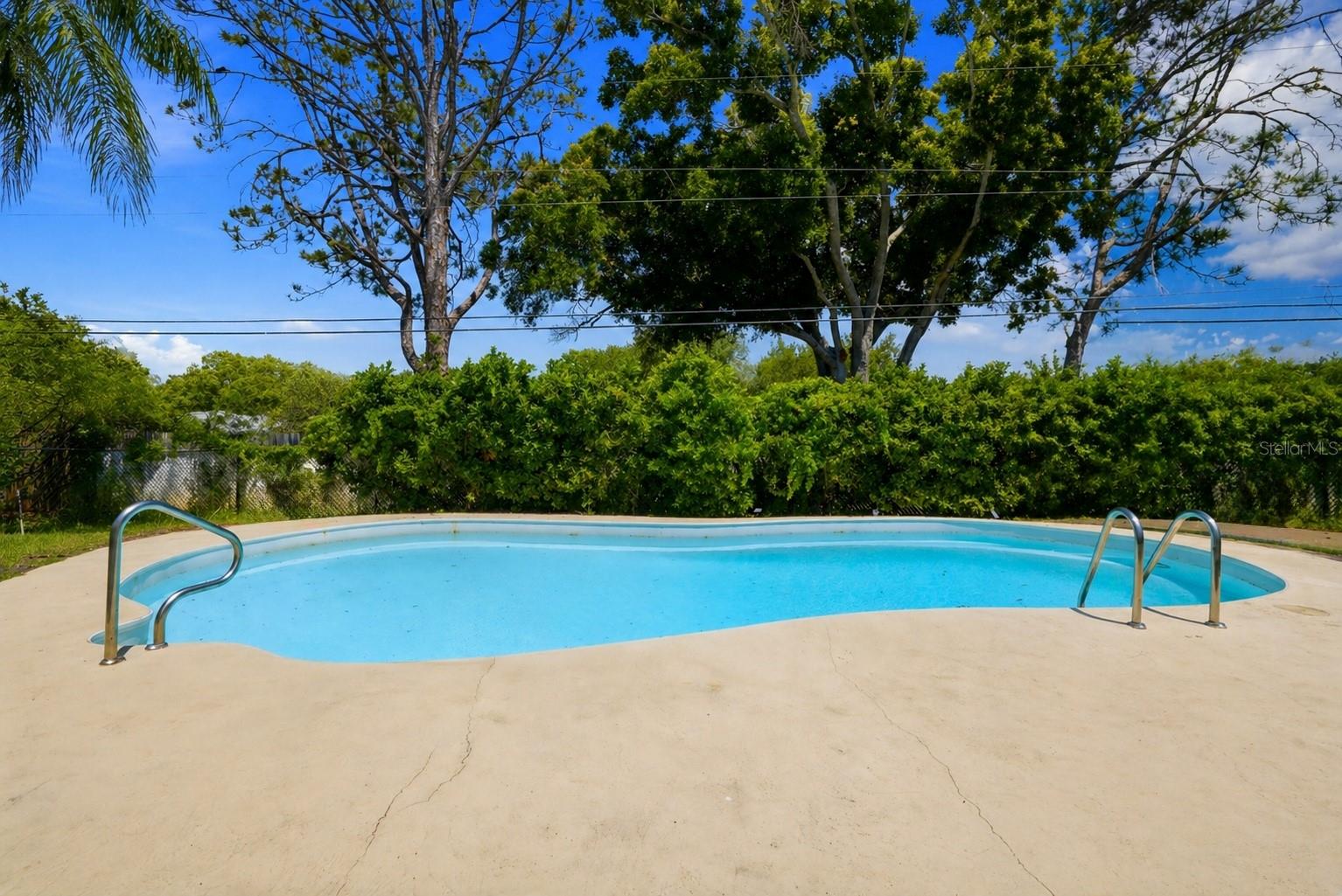1341 RANCHWOOD DR, CLEARWATER, FL — photo 39