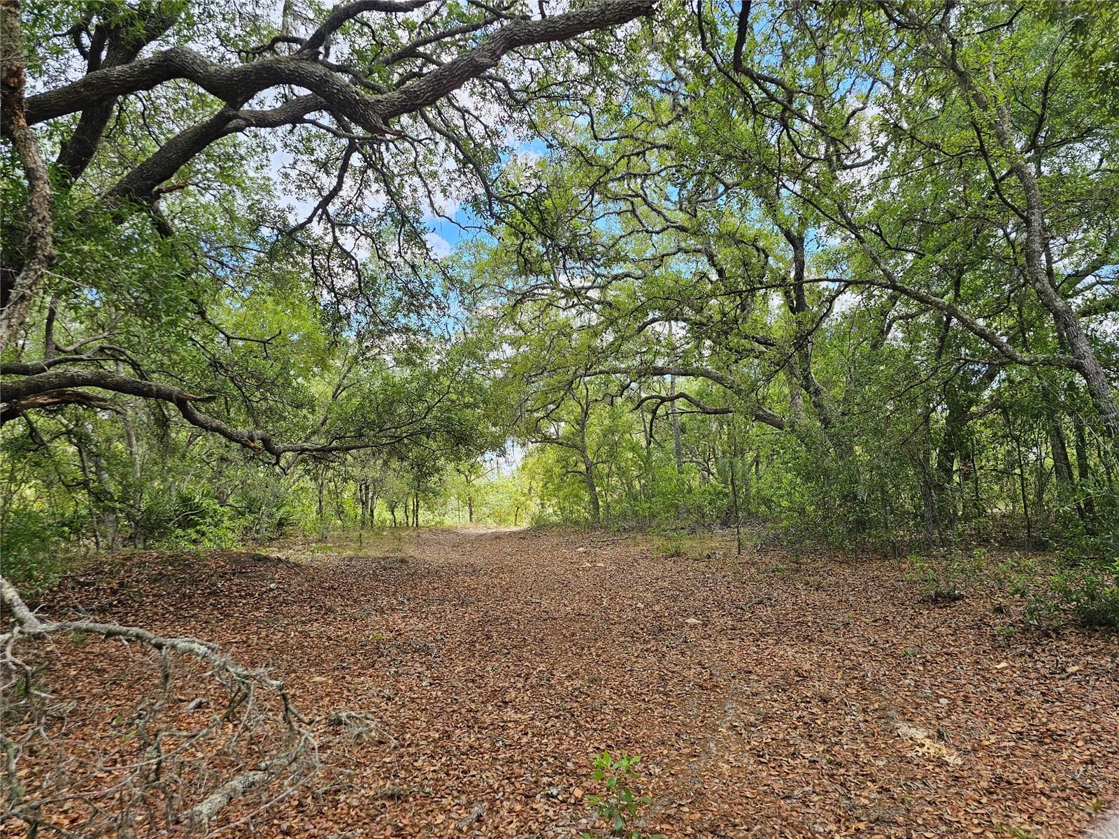 2950 W POMPANO LN, DUNNELLON, FL