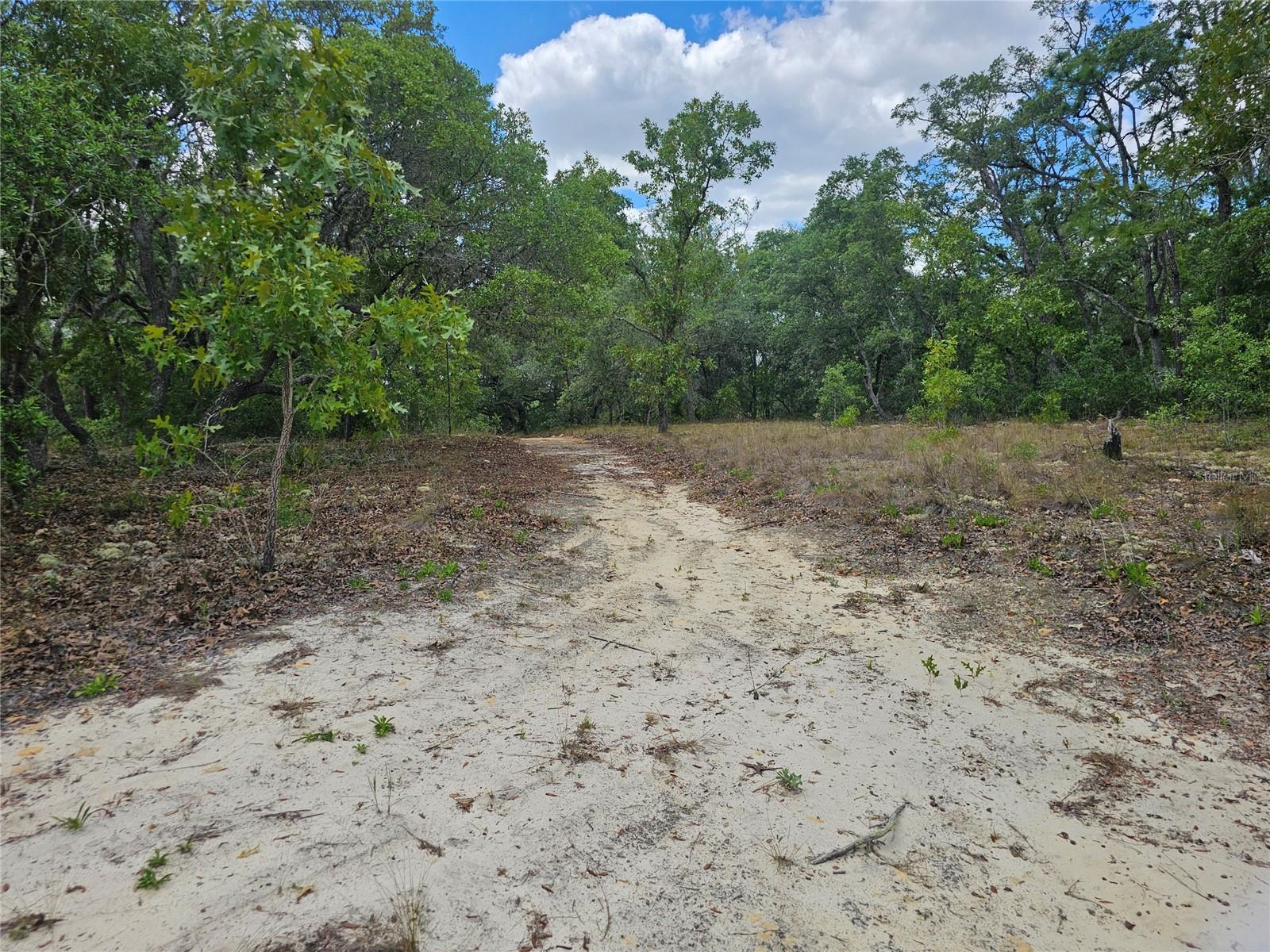 2950 W POMPANO LN, DUNNELLON, FL — photo 8