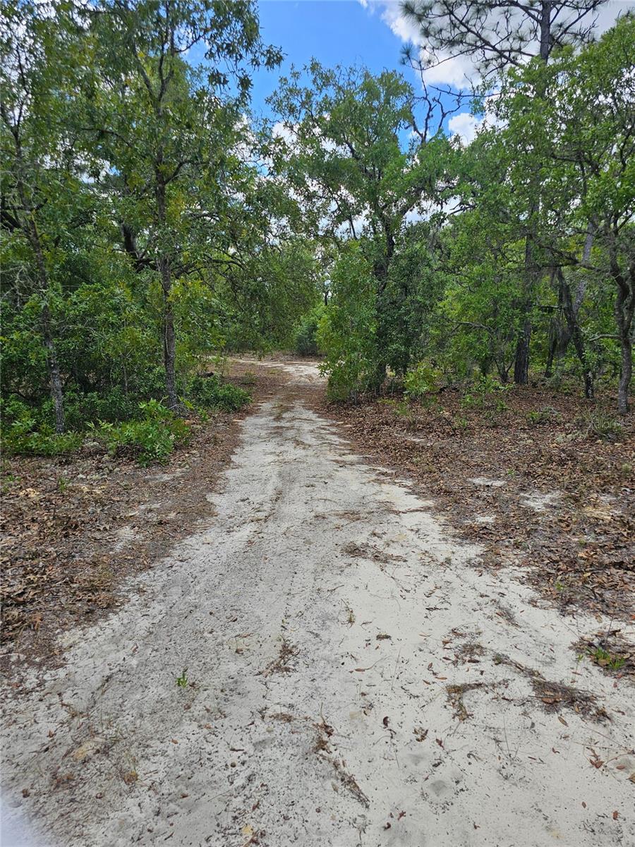 2950 W POMPANO LN, DUNNELLON, FL — photo 9