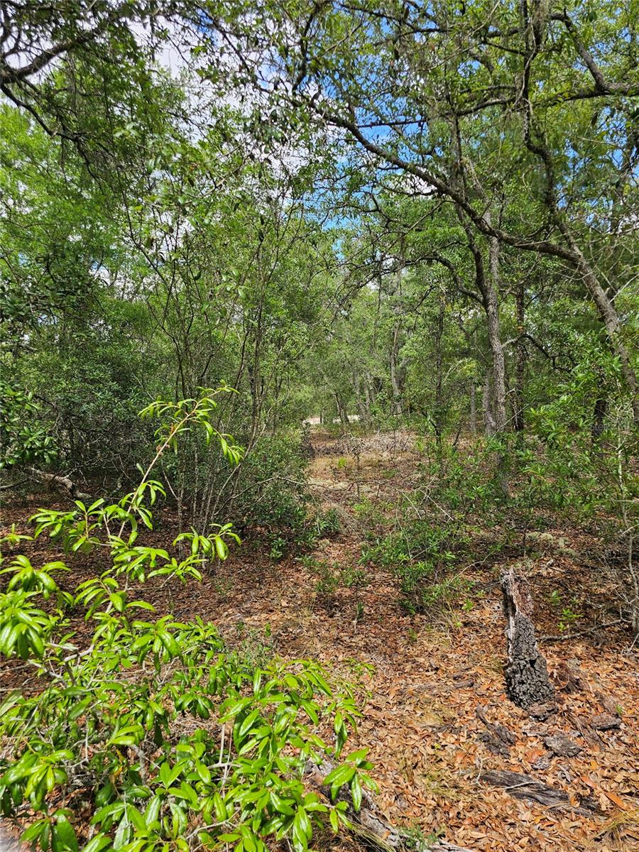 2950 W POMPANO LN, DUNNELLON, FL — photo 12