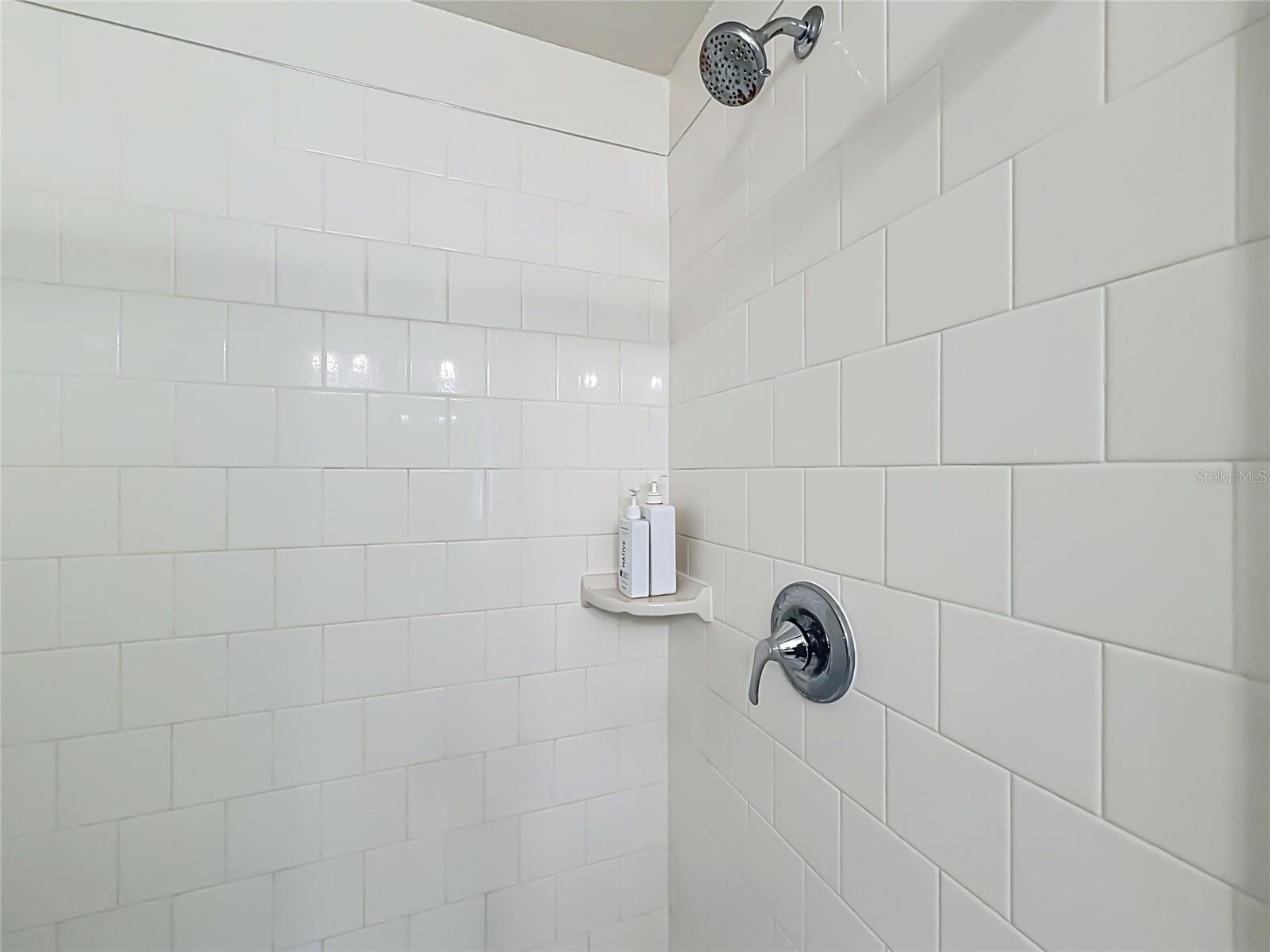 1507 GERANIUM DR, MASCOTTE, FL — photo 63