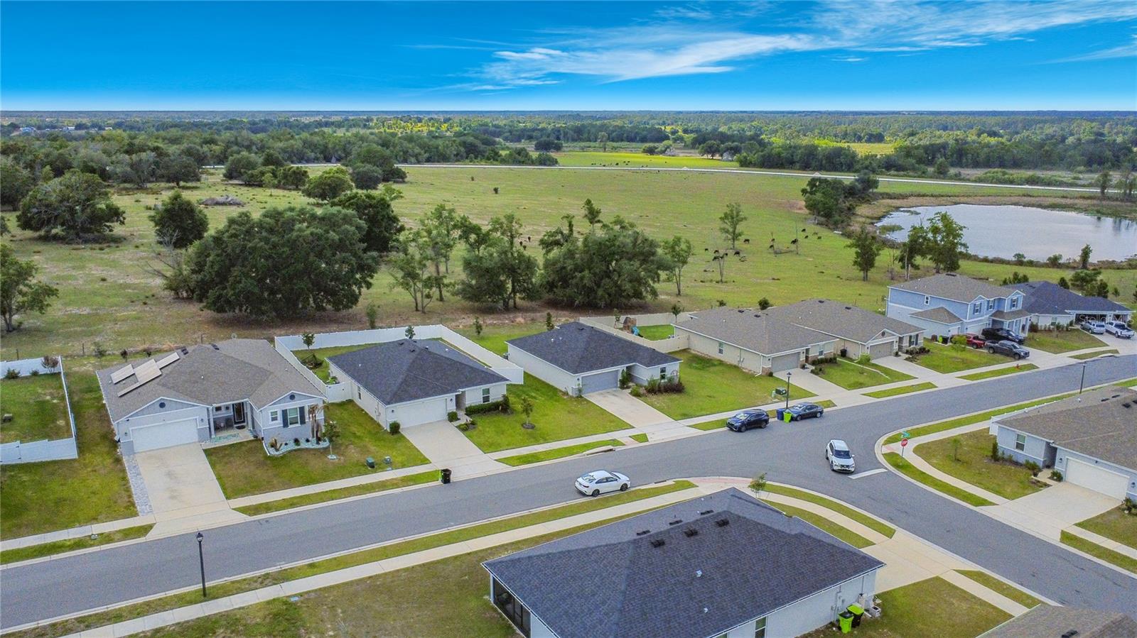 1507 GERANIUM DR, MASCOTTE, FL — photo 98