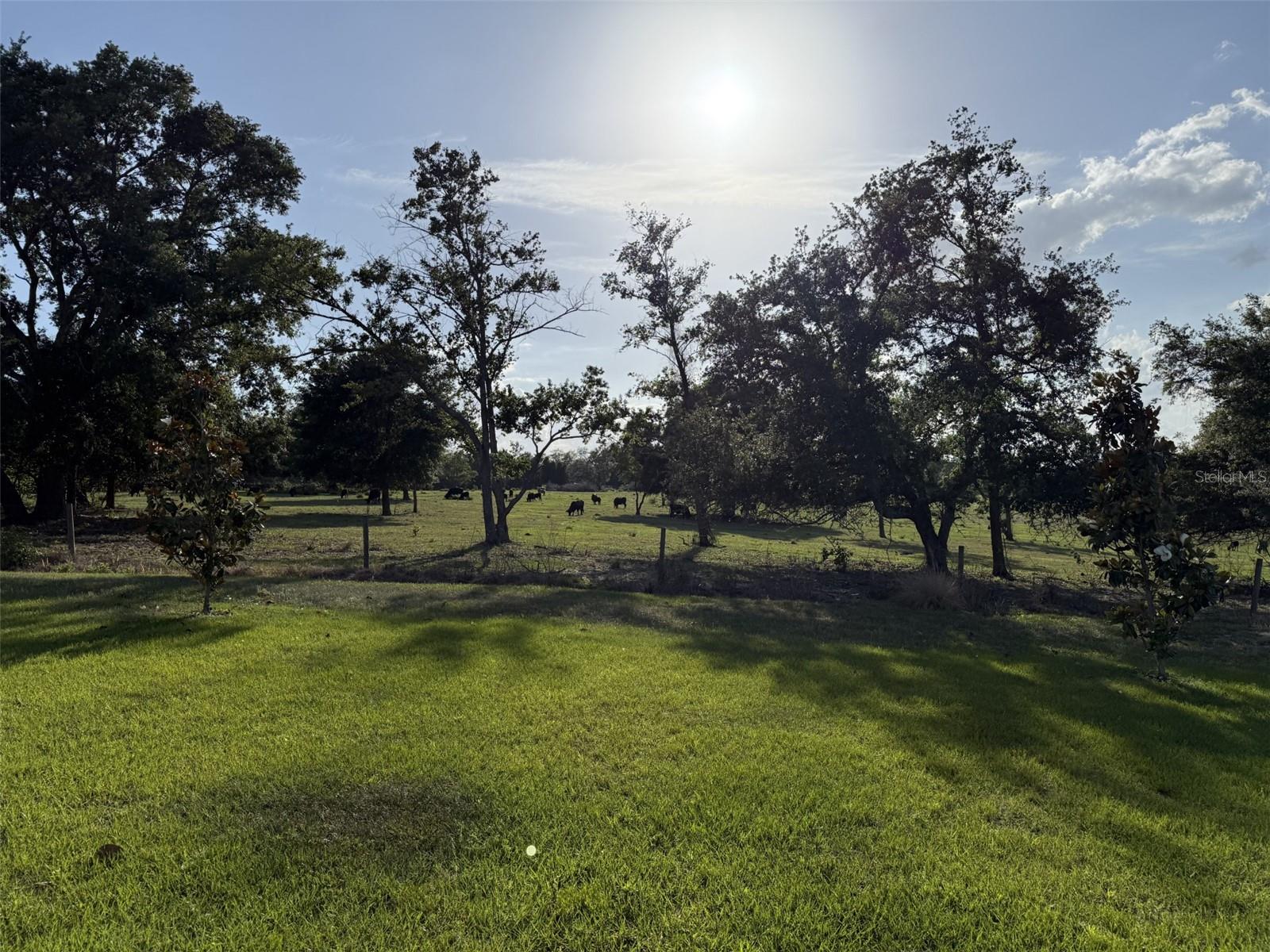 1507 GERANIUM DR, MASCOTTE, FL — photo 83