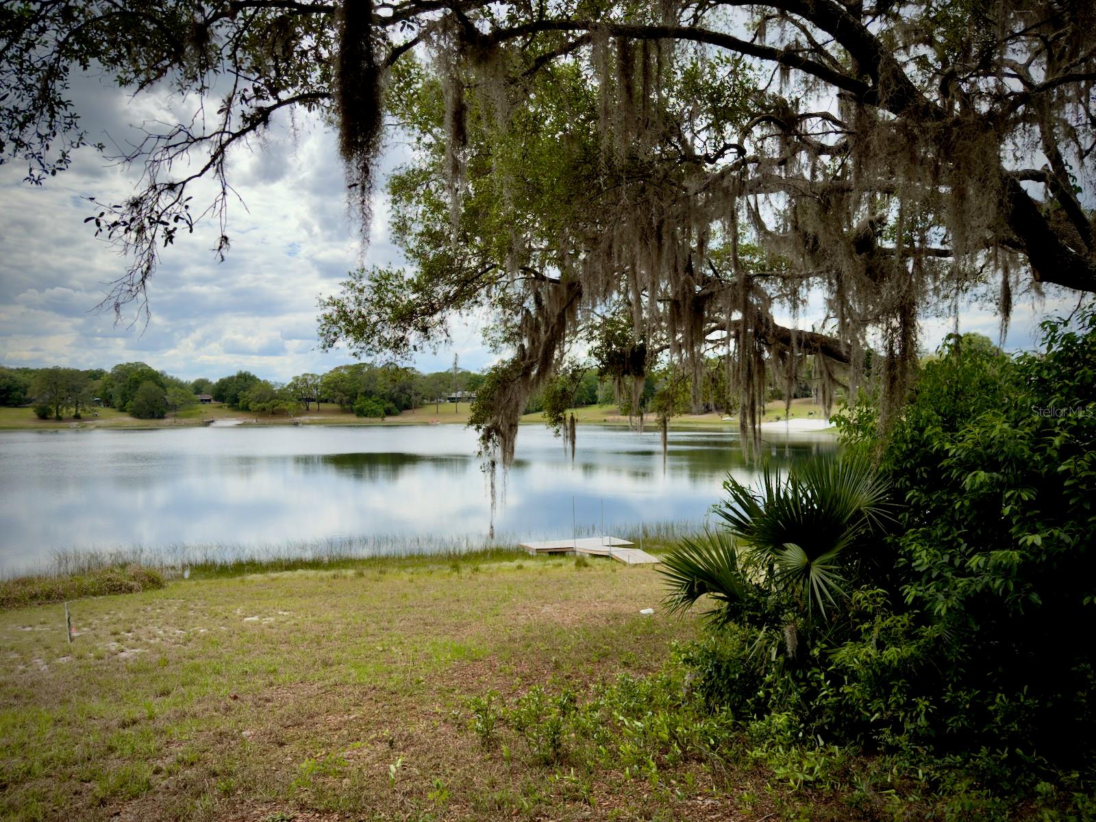 00 SE 146TH TERRACE RD, OCKLAWAHA, FL — photo 3