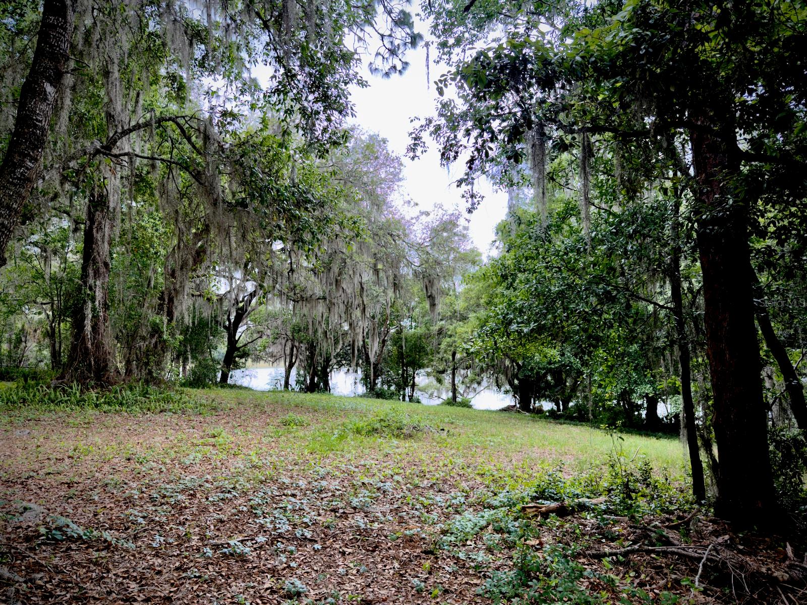00 SE 146TH TERRACE RD, OCKLAWAHA, FL — photo 4