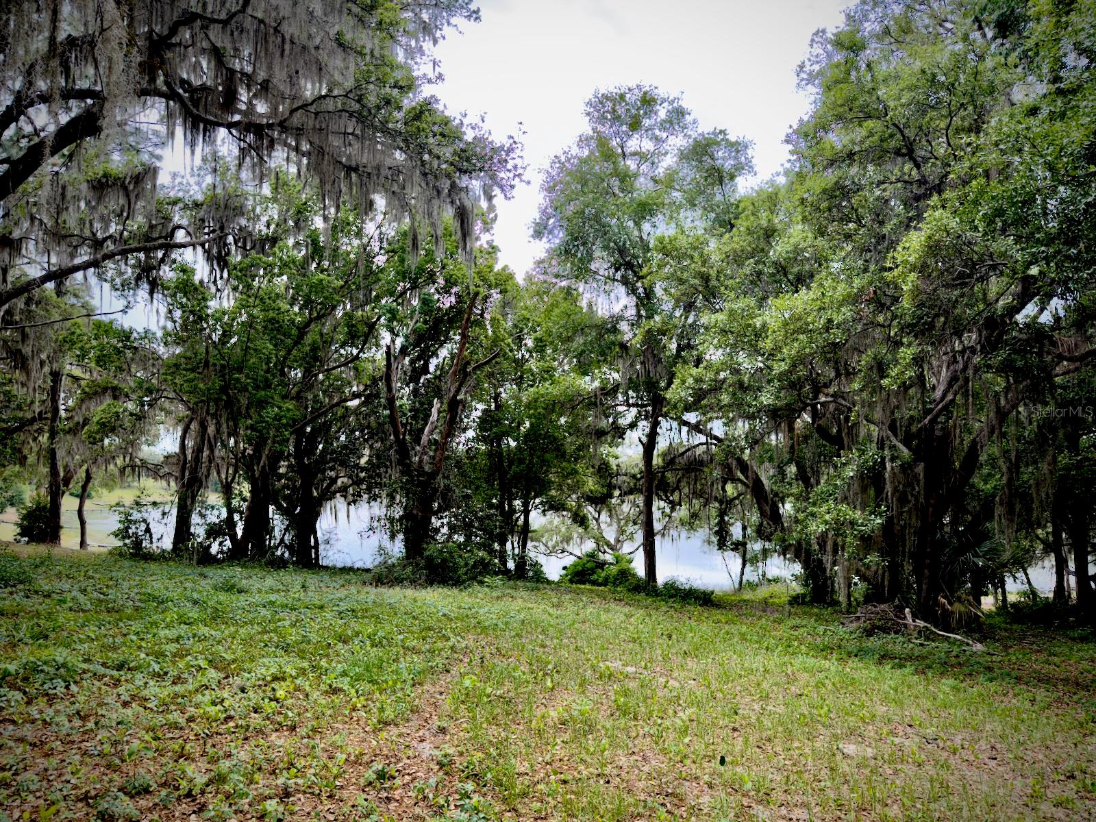 00 SE 146TH TERRACE RD, OCKLAWAHA, FL — photo 5