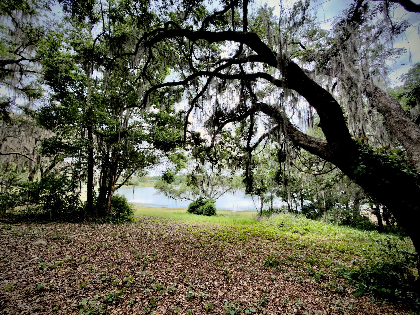 00 SE 146TH TERRACE RD, OCKLAWAHA, FL — photo 6