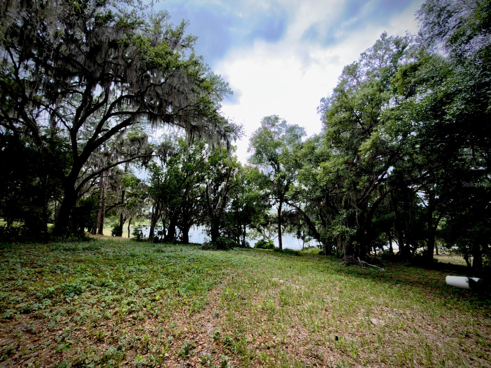 00 SE 146TH TERRACE RD, OCKLAWAHA, FL — photo 7