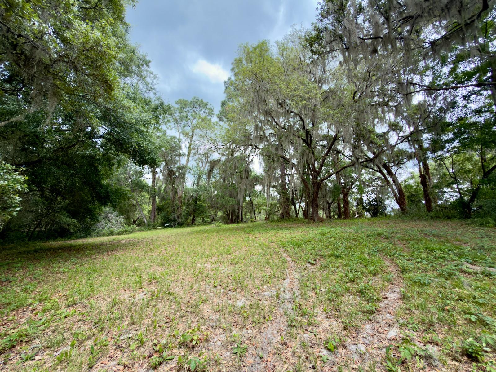 00 SE 146TH TERRACE RD, OCKLAWAHA, FL — photo 8