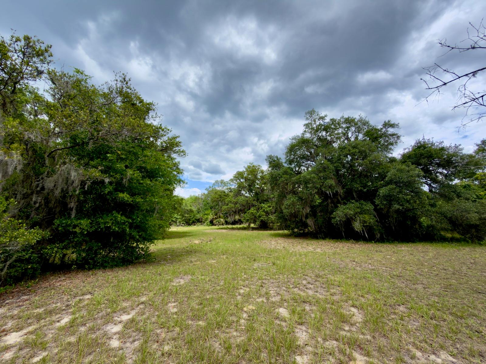 00 SE 146TH TERRACE RD, OCKLAWAHA, FL — photo 9