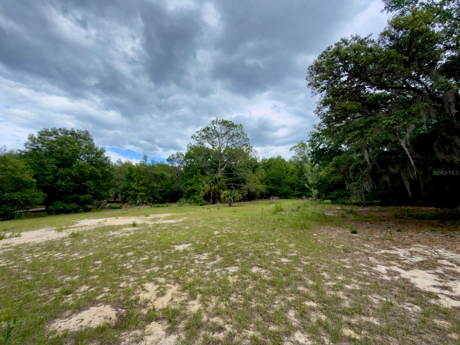 00 SE 146TH TERRACE RD, OCKLAWAHA, FL — photo 10