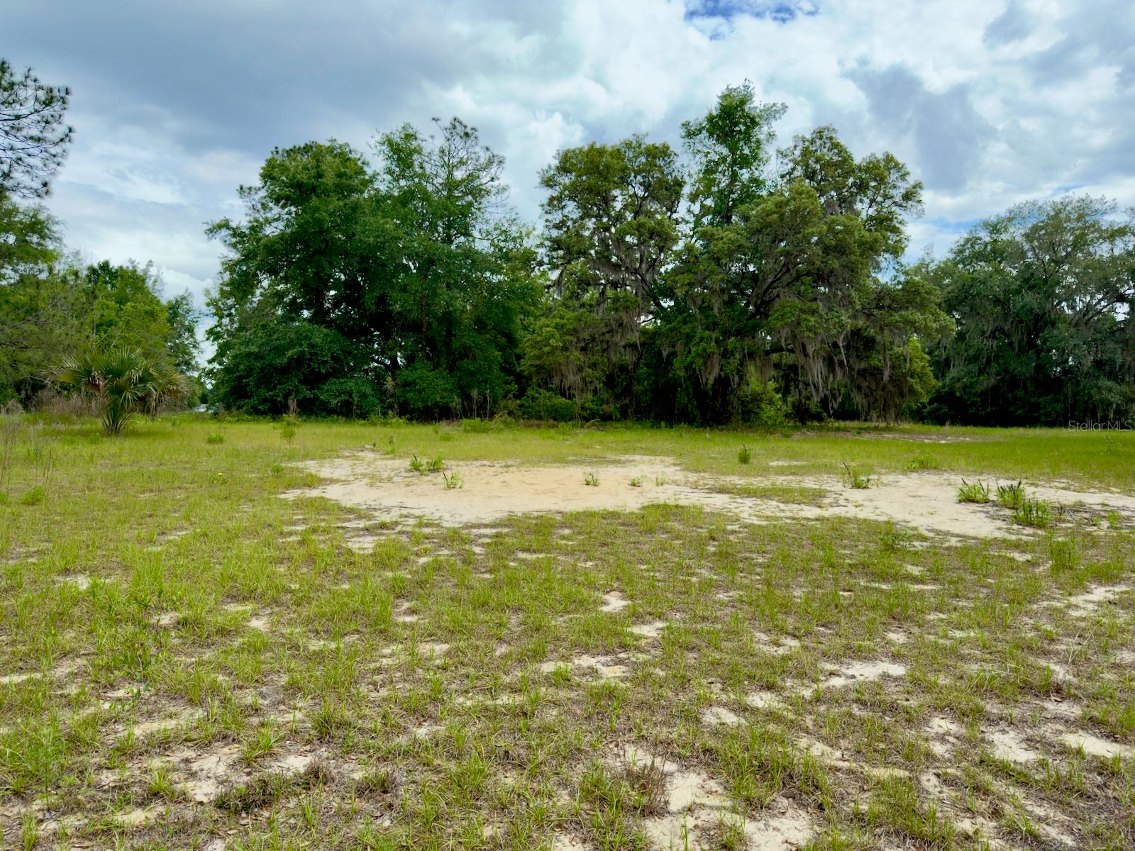 00 SE 146TH TERRACE RD, OCKLAWAHA, FL — photo 11