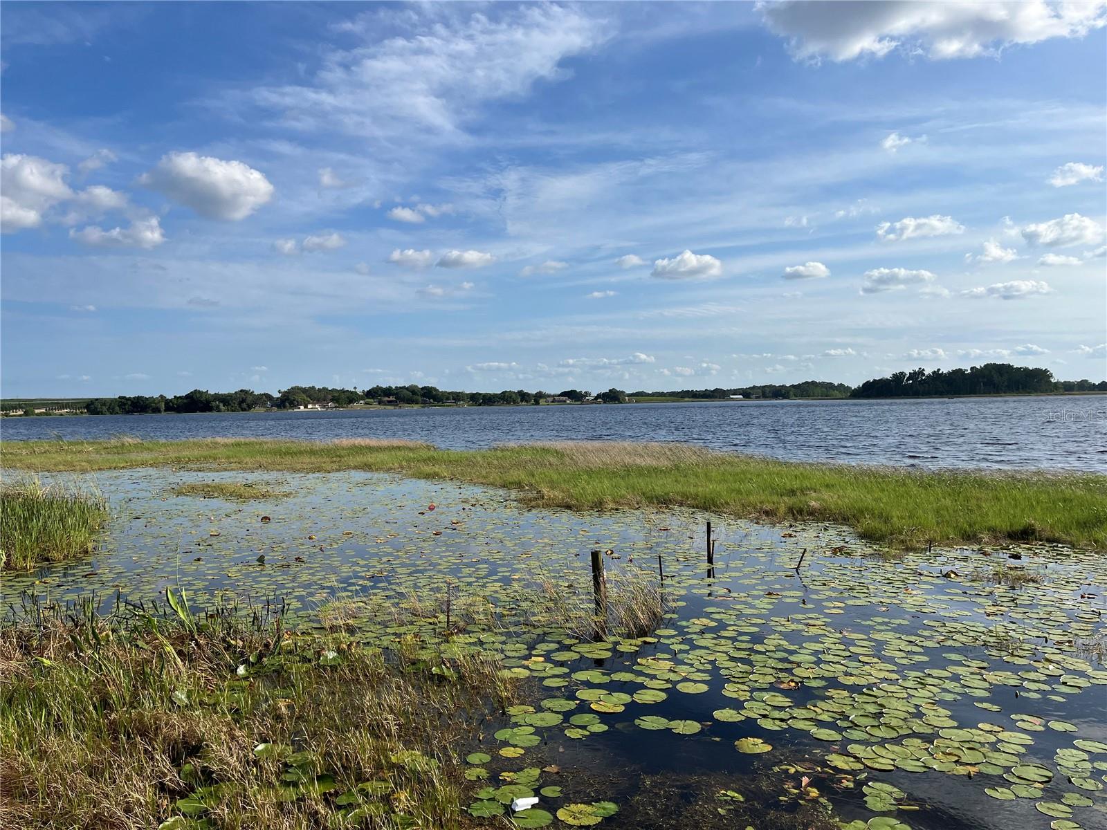 1794 PERCH HAMMOCK LOOP, GROVELAND, FL — photo 111