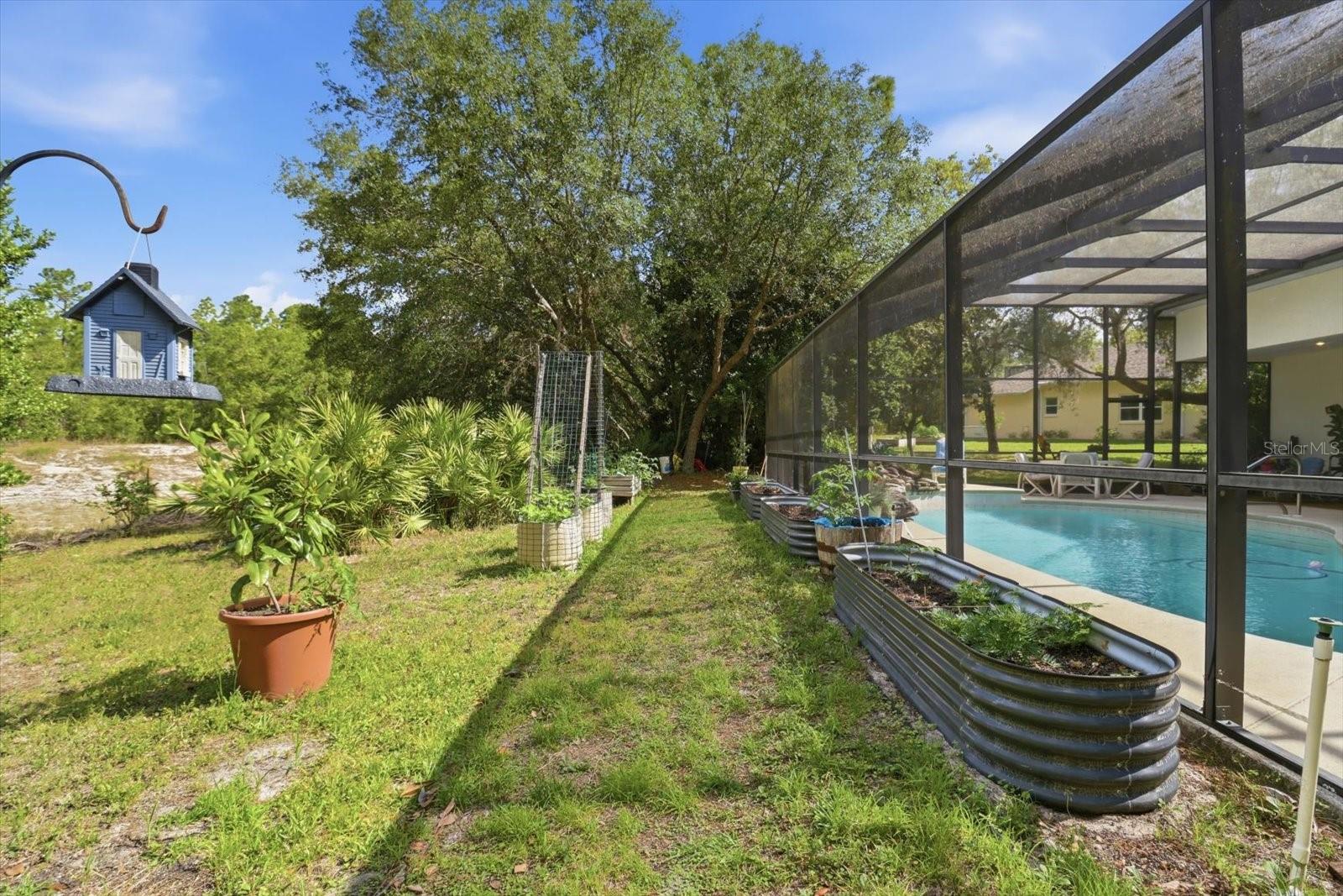 3 PORTULACA CT N, HOMOSASSA, FL — photo 29