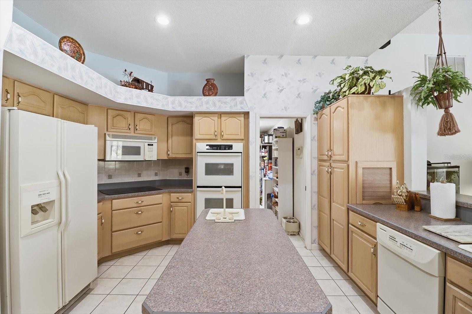 3 PORTULACA CT N, HOMOSASSA, FL — photo 41