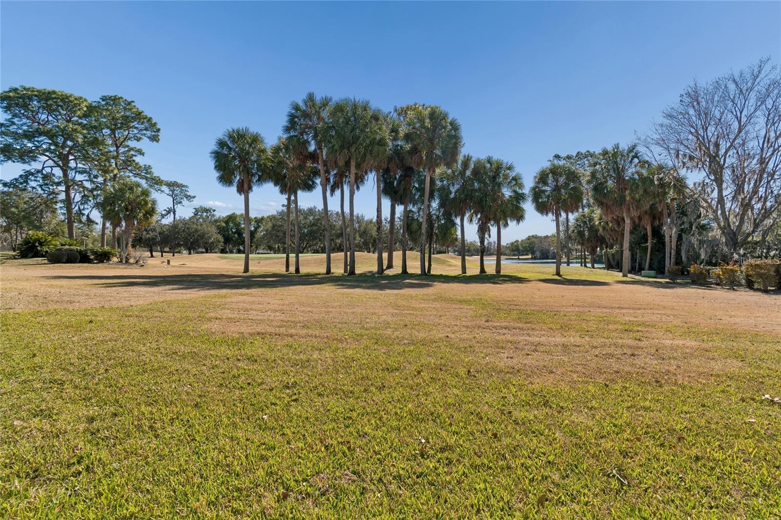 29244 WHIPPORWILL LN, WESLEY CHAPEL, FL — photo 4