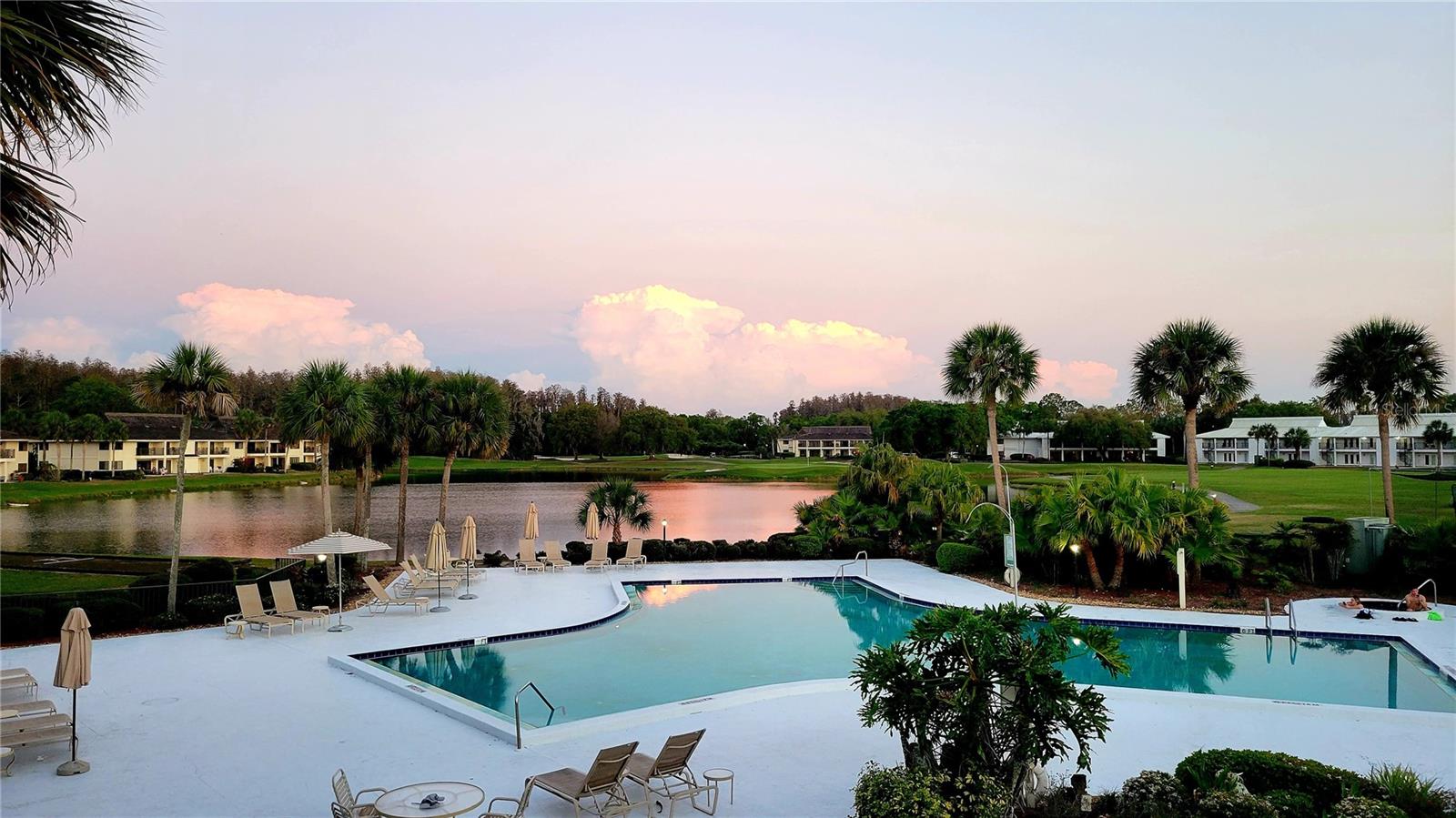 29130 BAY HOLLOW DR #3312, WESLEY CHAPEL, FL — photo 5