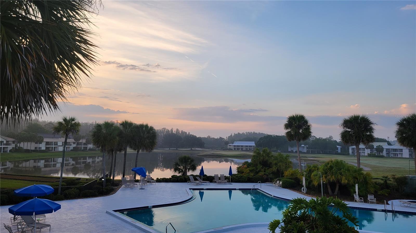 29130 BAY HOLLOW DR #3312, WESLEY CHAPEL, FL — photo 26