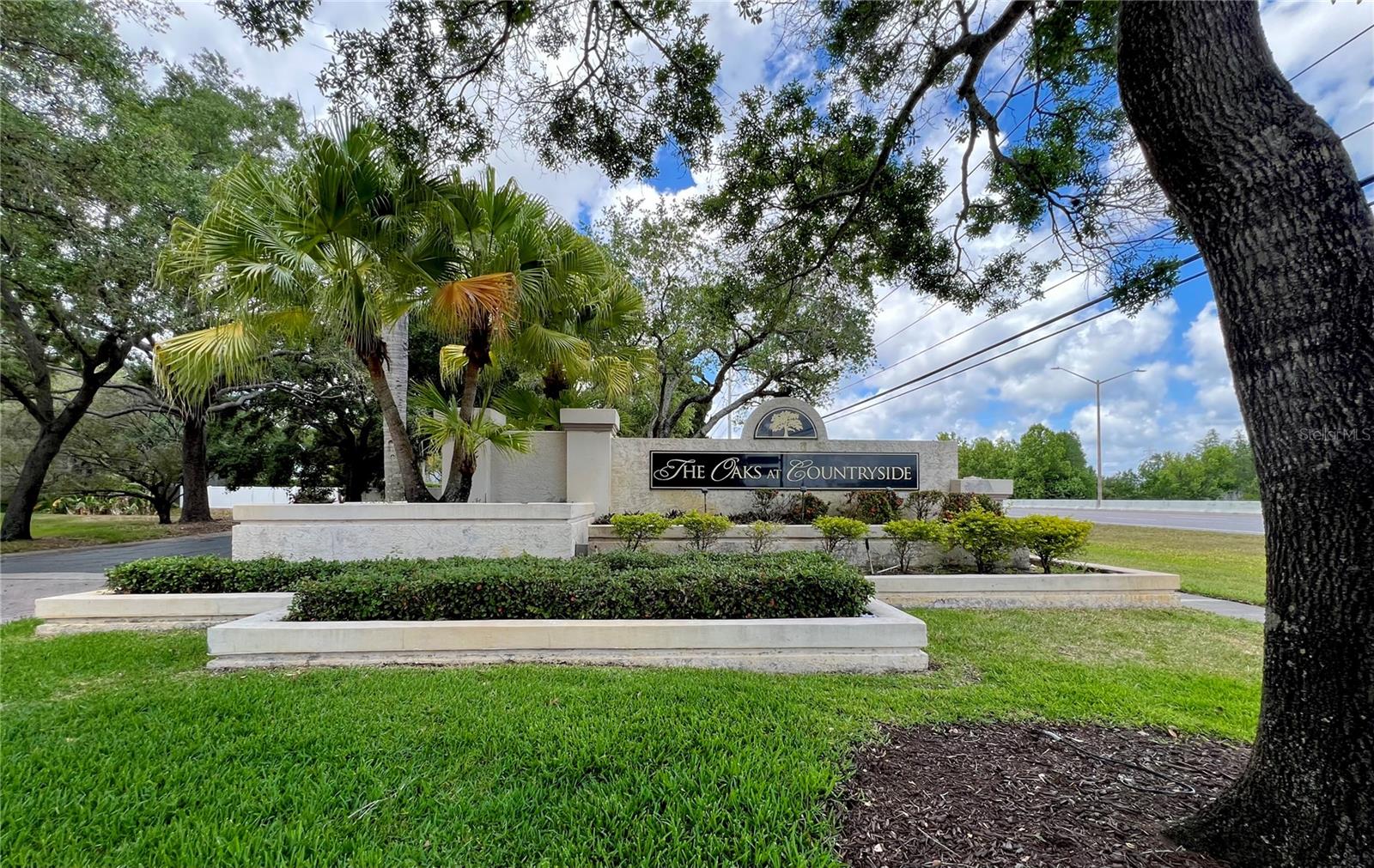 3014 RED OAK CT #102, PALM HARBOR, FL — photo 3
