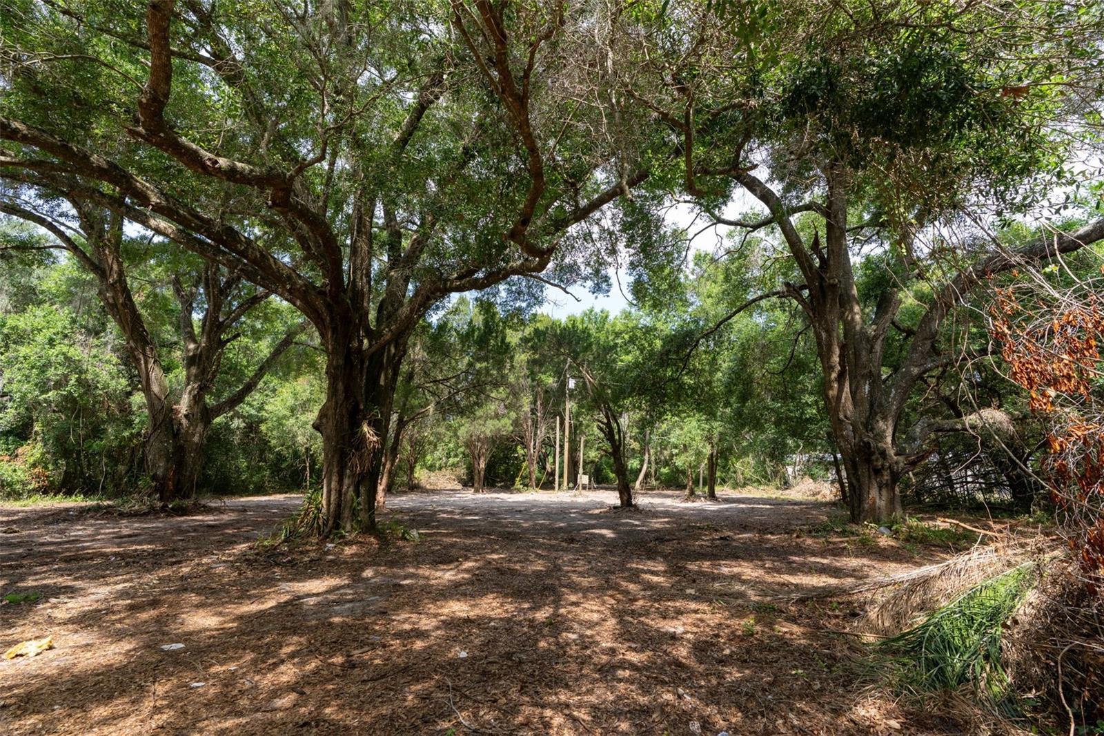 3482 COUNTY ROAD 507, WILDWOOD, FL — photo 9