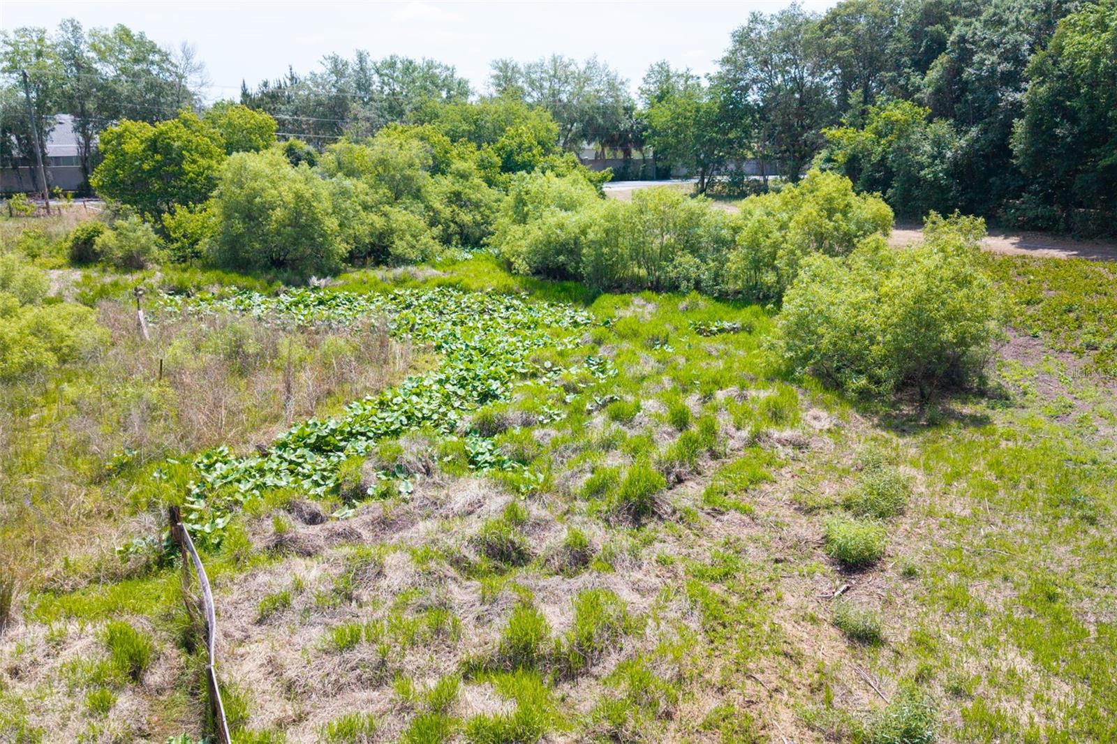 3482 COUNTY ROAD 507, WILDWOOD, FL — photo 15