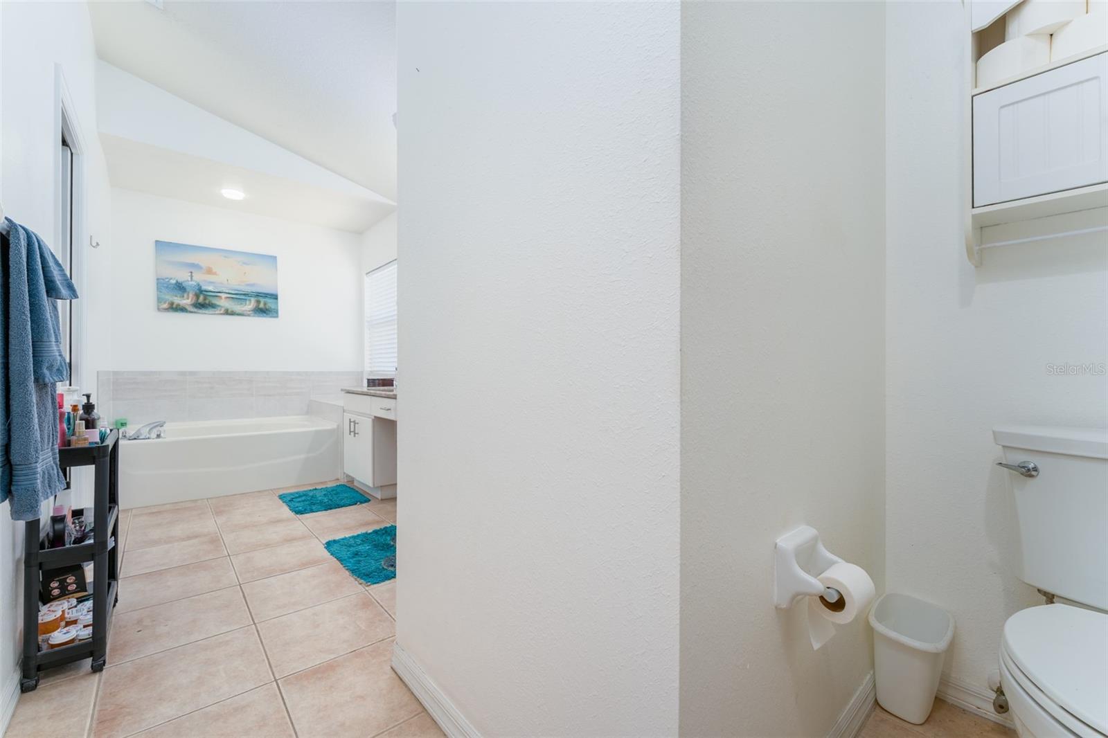 10727 DEEPBROOK DR, RIVERVIEW, FL — photo 16